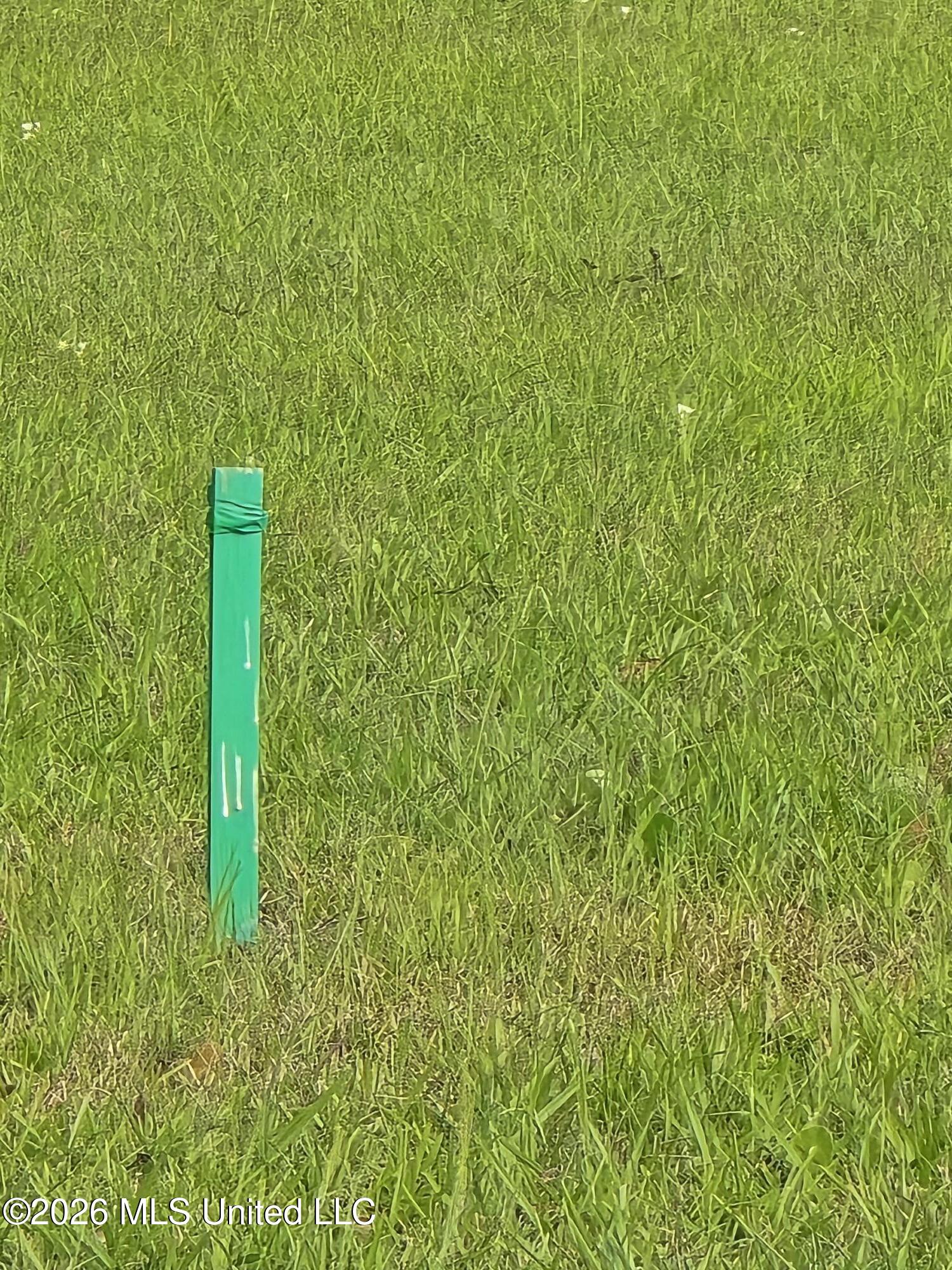 0 Werner Road Picayune, MS 39466 - Photo 16 of 42 20260413_163445 (1)