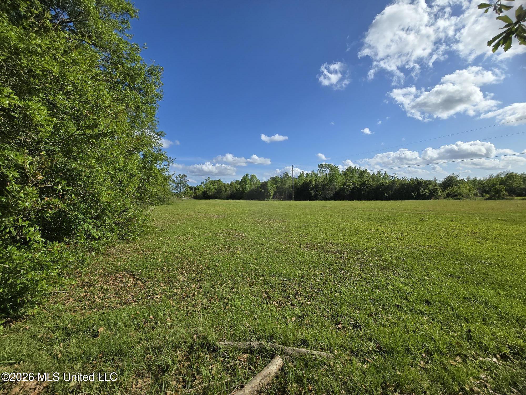 0 Werner Road Picayune, MS 39466 - Photo 20 of 42 20260413_163619