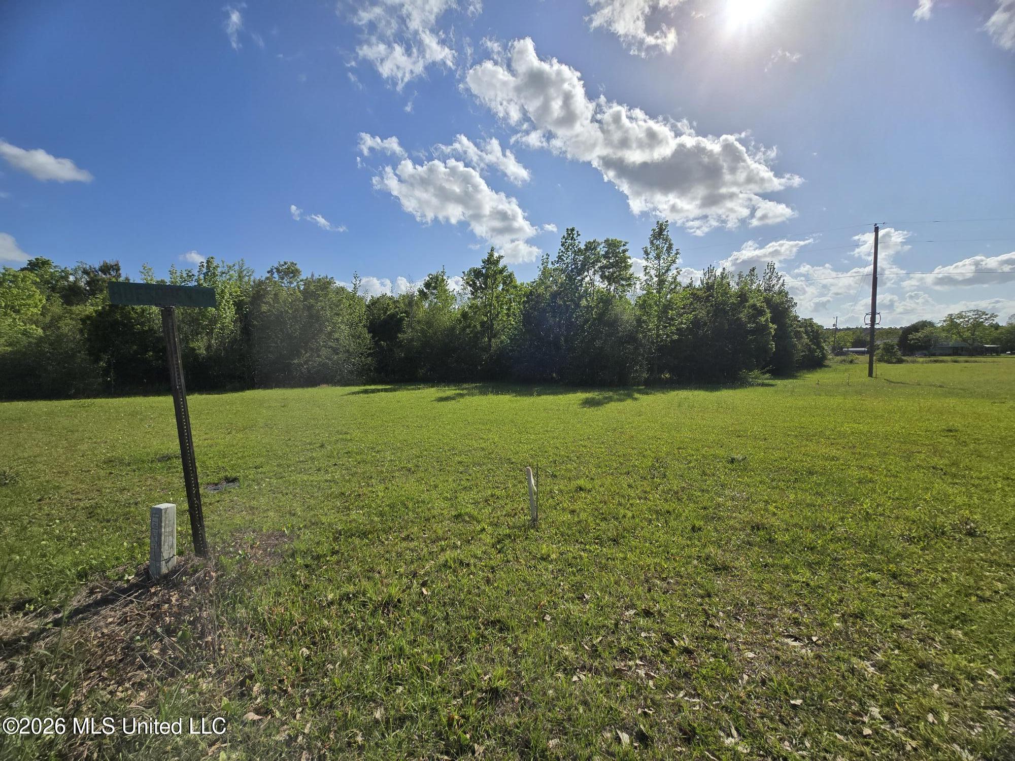 0 Werner Road Picayune, MS 39466 - Photo 24 of 42 20260413_163755