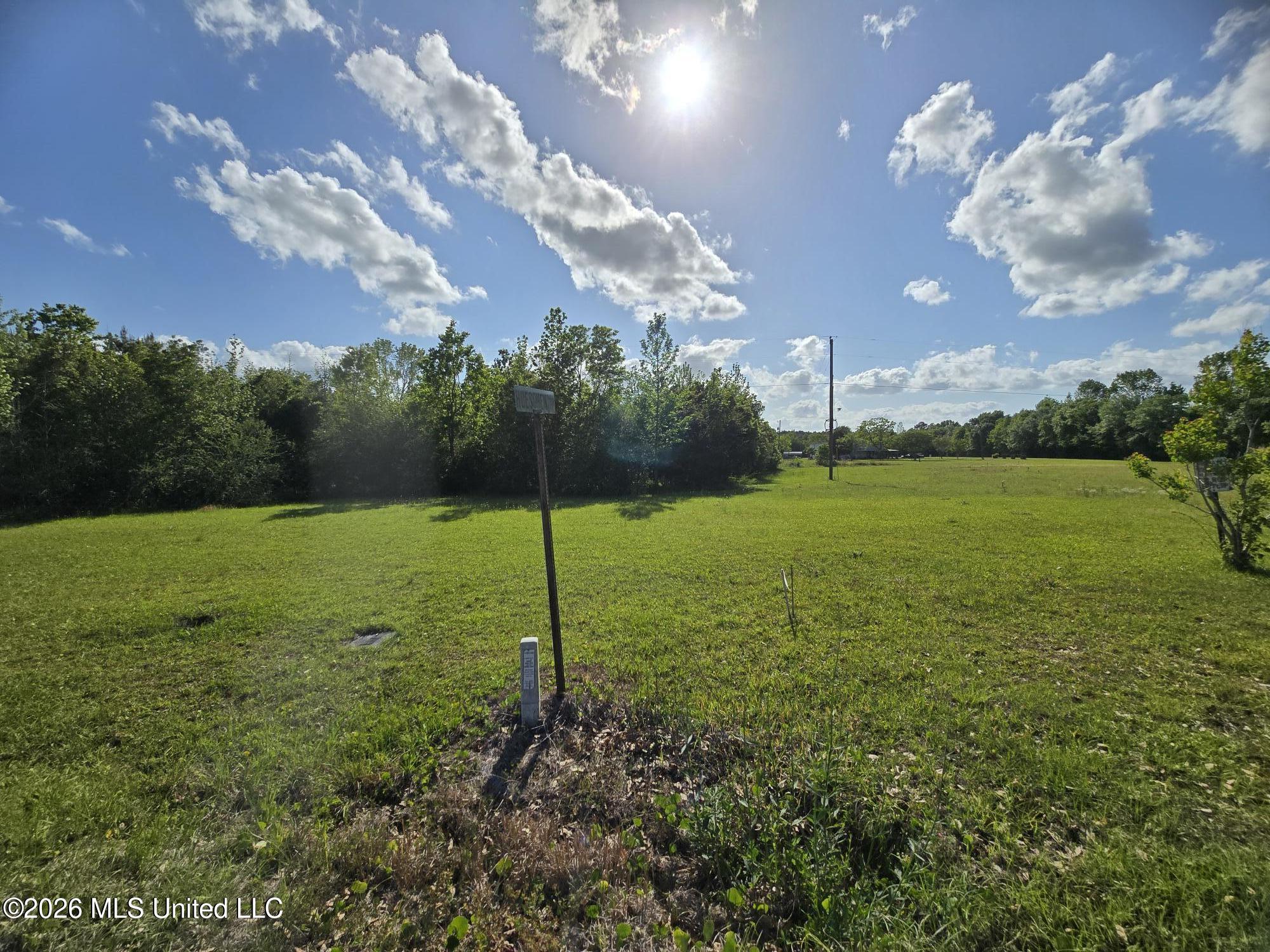 0 Werner Road Picayune, MS 39466 - Photo 27 of 42 20260413_163811