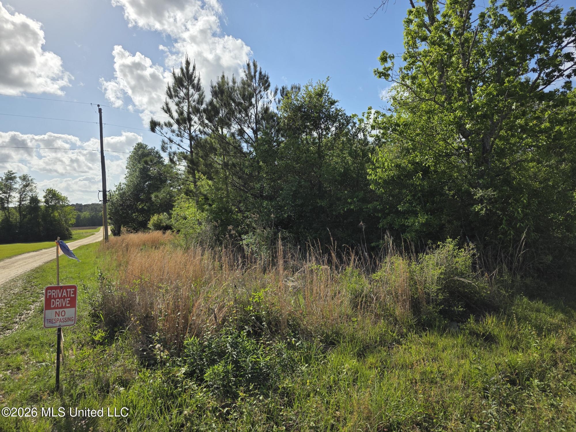 0 Werner Road Picayune, MS 39466 - Photo 37 of 42 20260413_164306