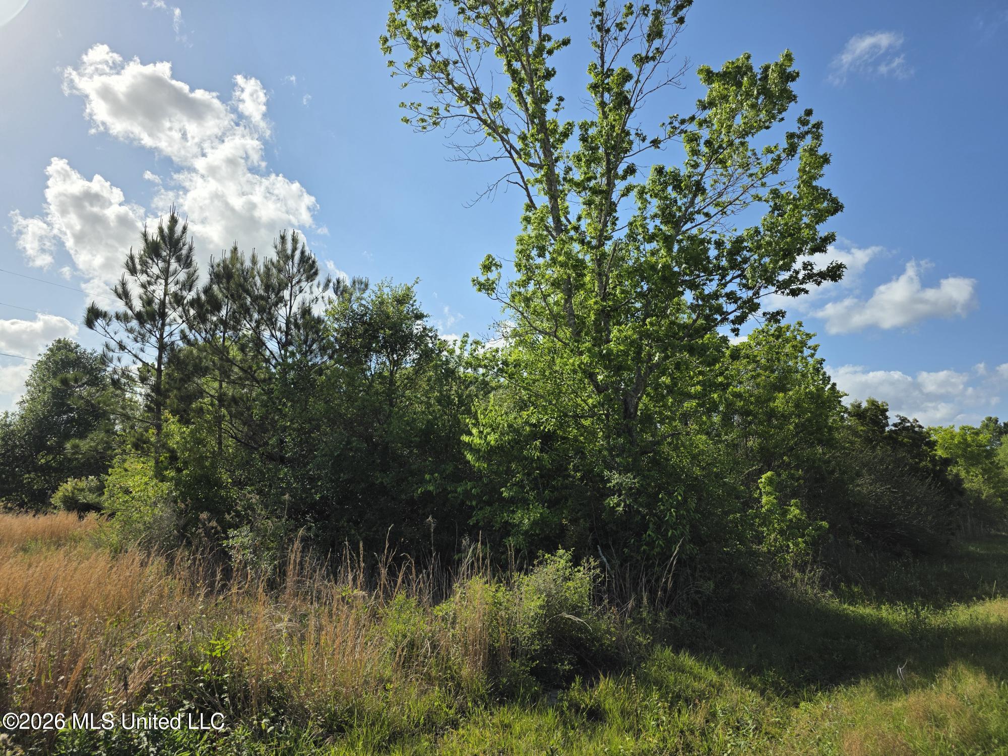 0 Werner Road Picayune, MS 39466 - Photo 38 of 42 20260413_164315