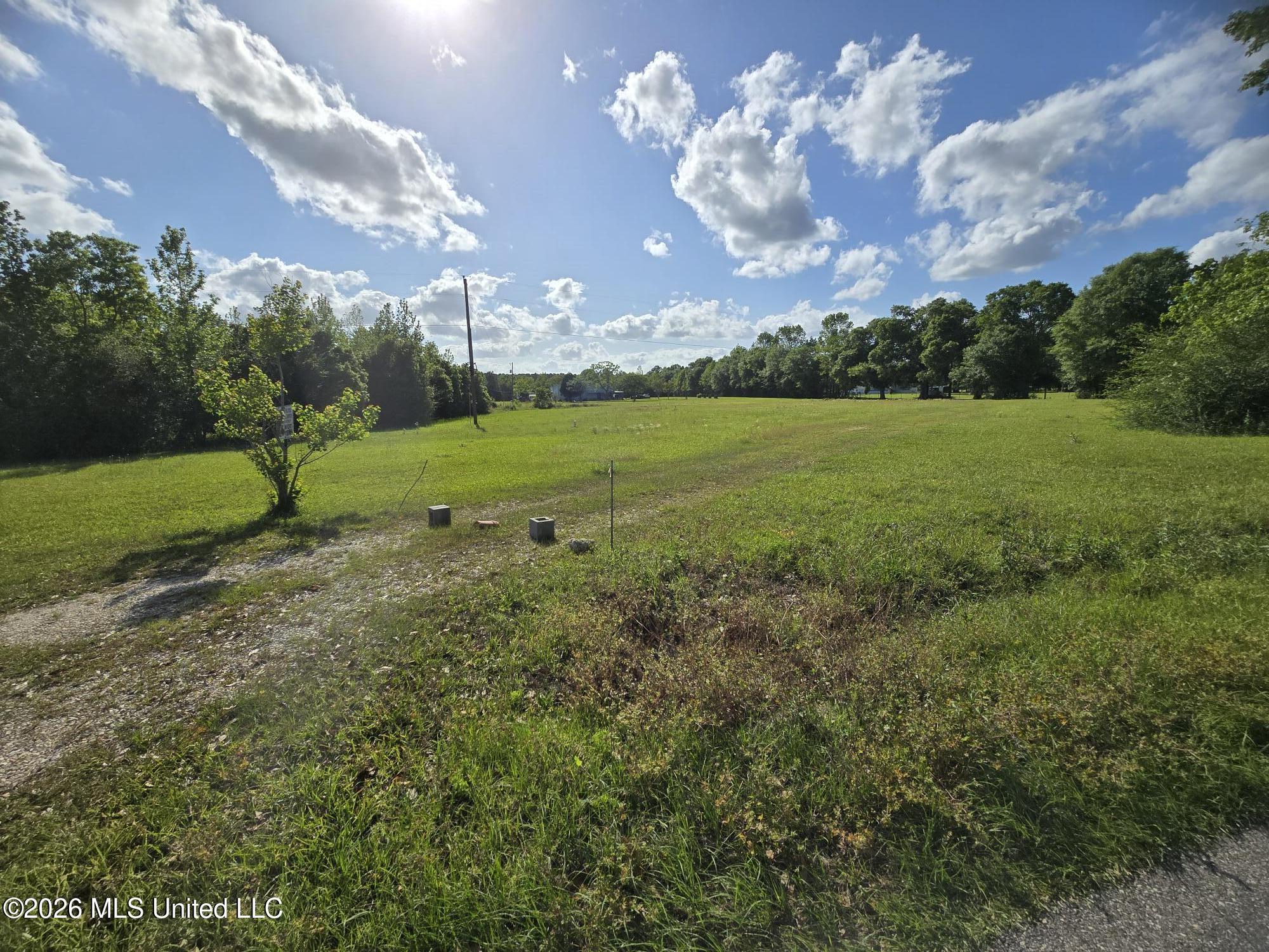0 Werner Road Picayune, MS 39466 - Photo 6 of 42 20260413_163743