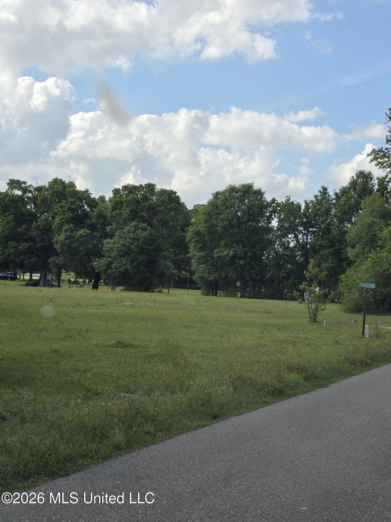 0 Werner Road Picayune, MS 39466 - Photo 8 of 42 20260412_160100