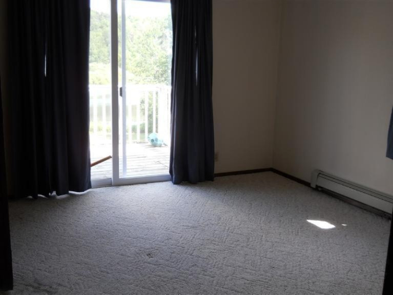 13797 Belding Road Northeast Belding, MI 48809 - Photo 10 of 23 Additional Photo
