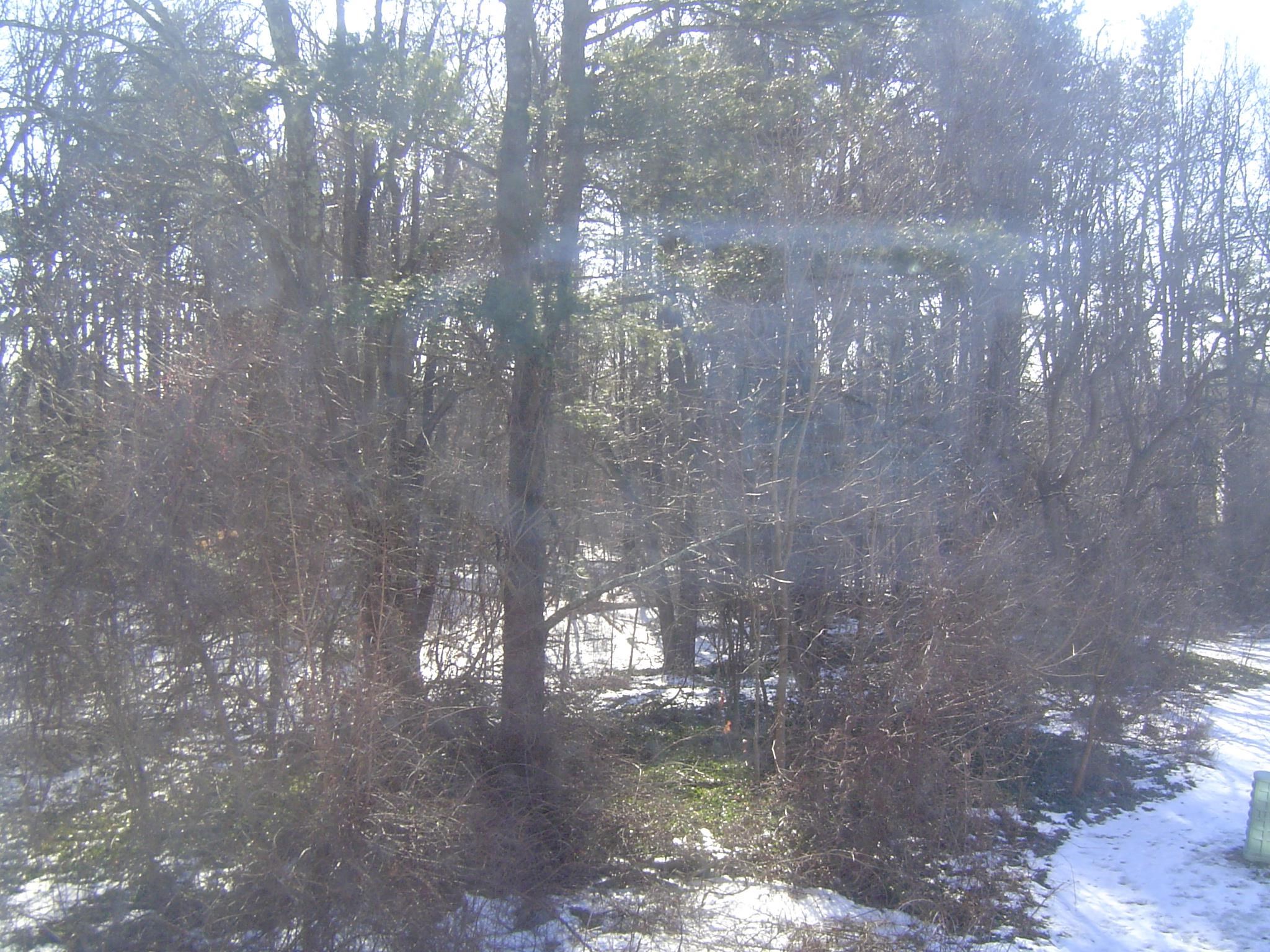 63 Derryfield Court Manchester, NH 03104 - Photo 22 of 23