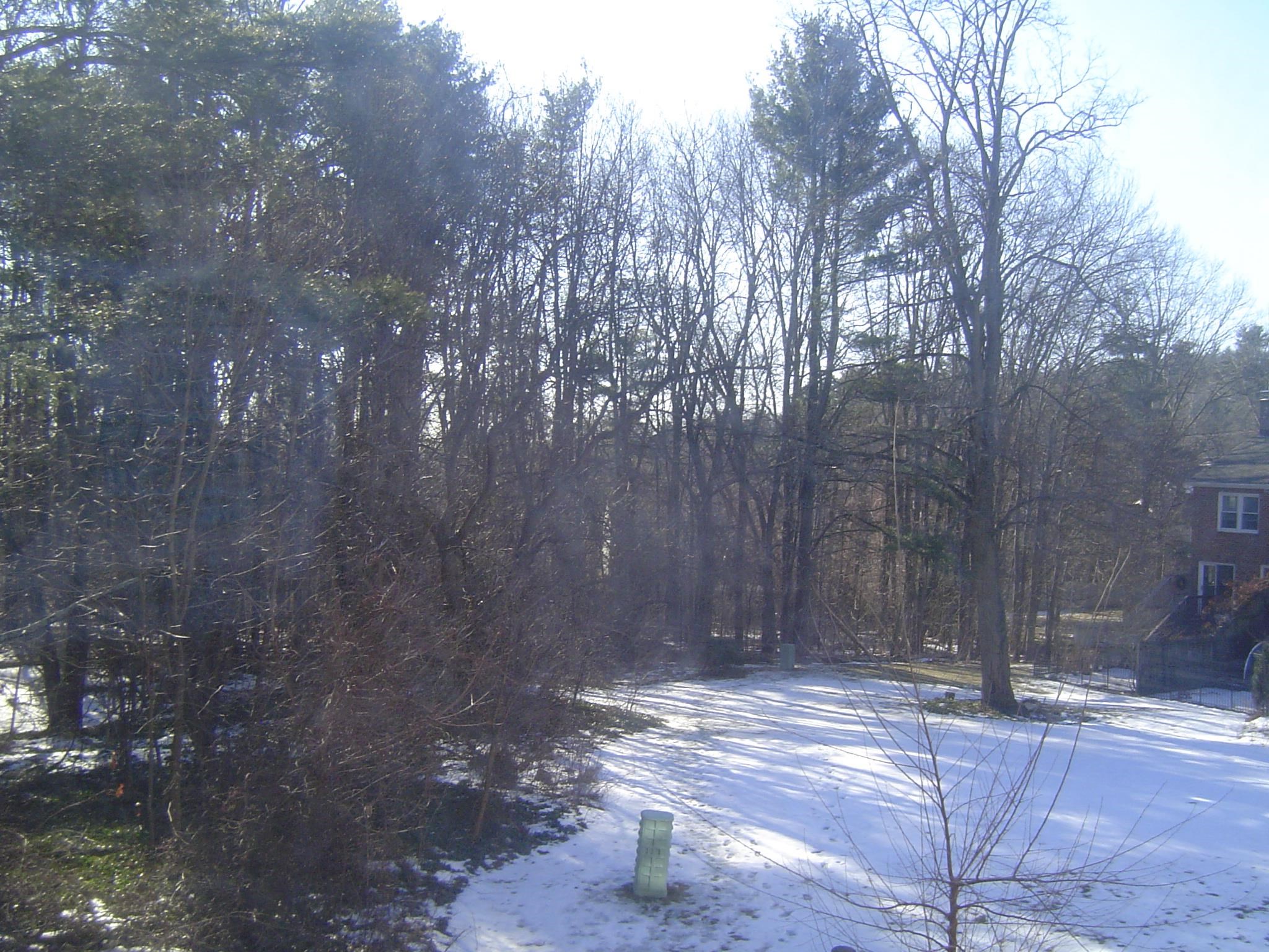 63 Derryfield Court Manchester, NH 03104 - Photo 23 of 23