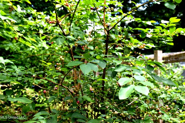 $249,000 | 3670 Glen Artney Cove, Hernando, MS 38632