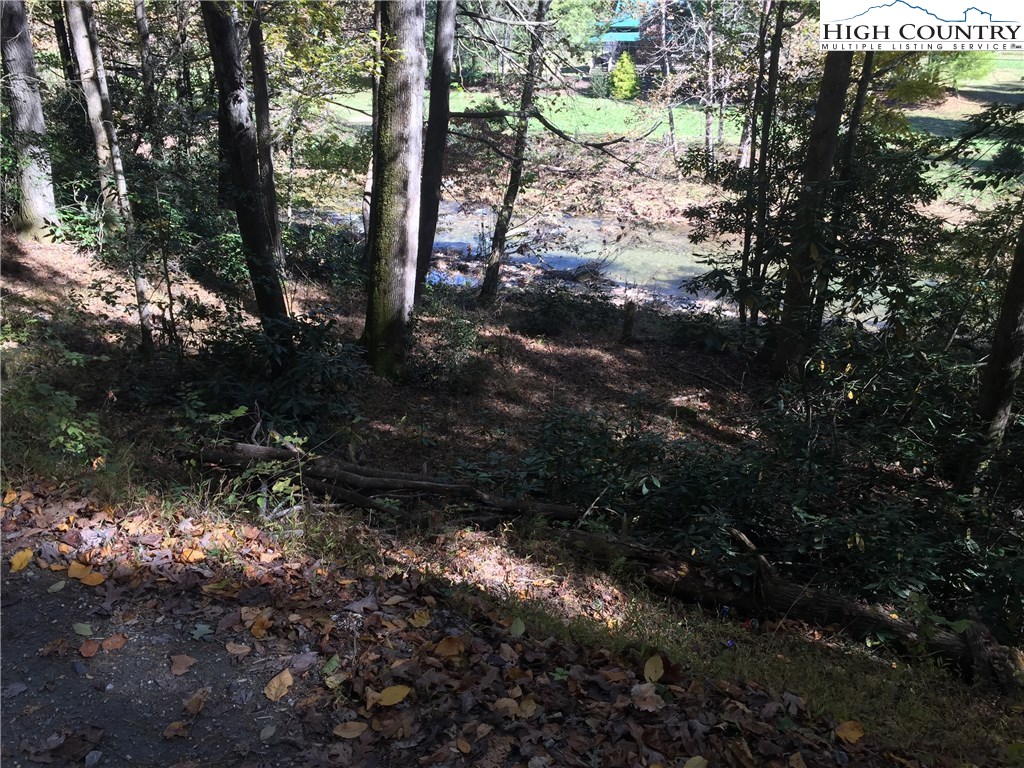 Elk Creek Road Boone, NC 28607 - Photo 1 of 7 Gallery Image 1