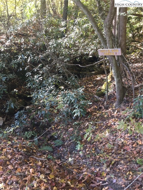 Elk Creek Road Boone, NC 28607 - Photo 7 of 7 Gallery Image 7