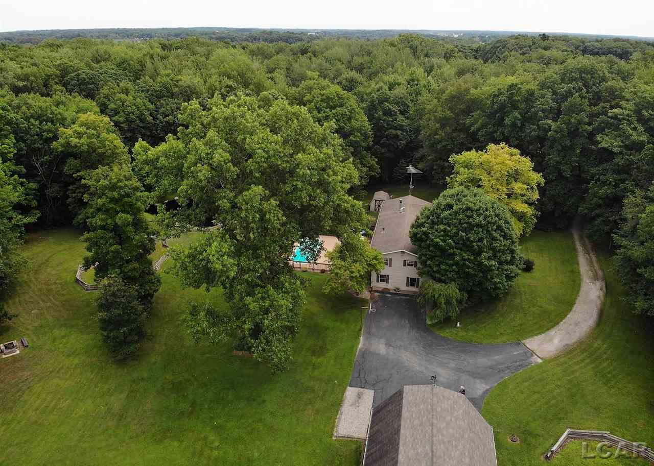 5242 Munger Road Tipton, MI 49287 - Photo 9 of 86