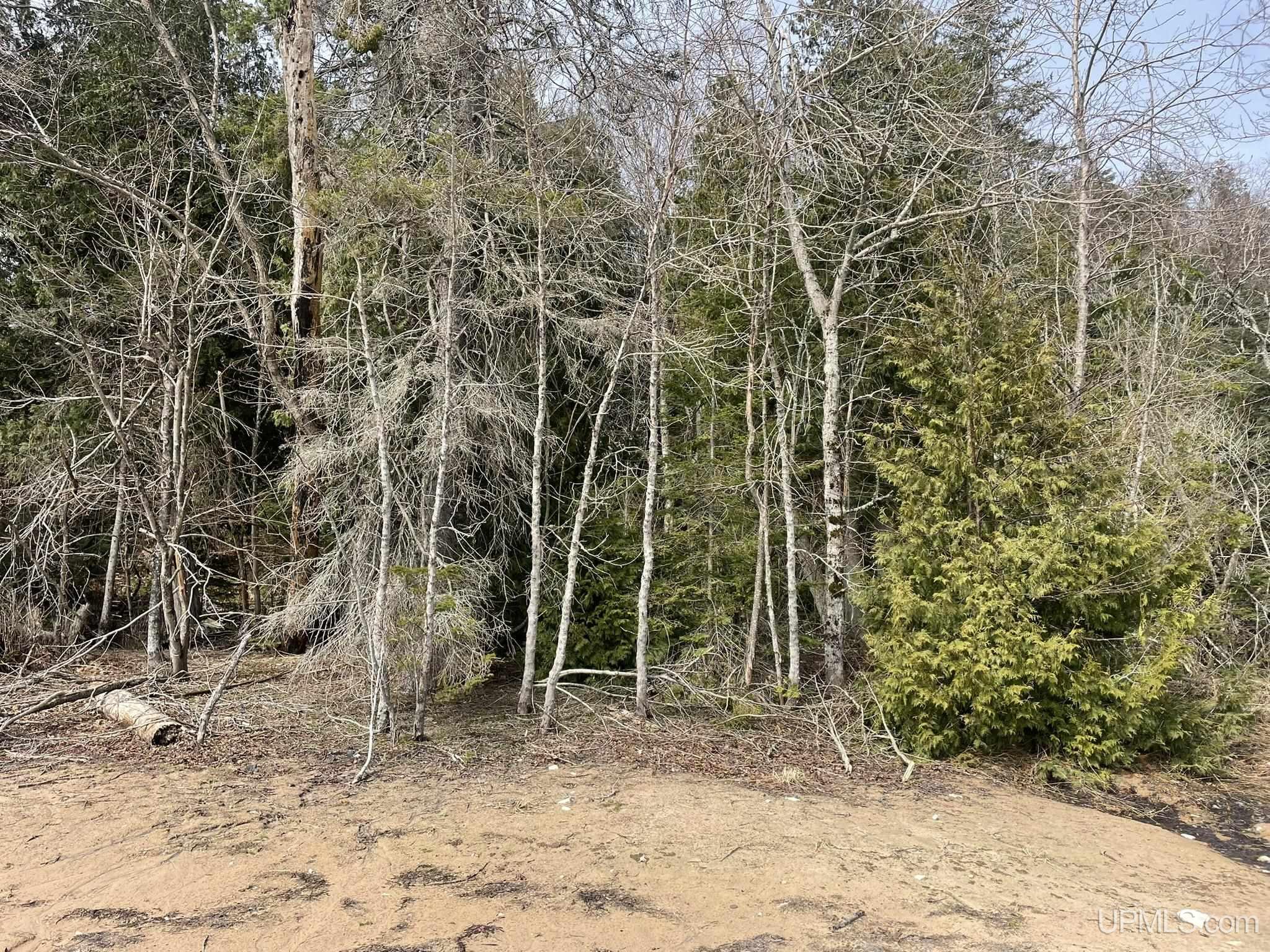 Tbd Peninsula Acres Road Manistique, MI 49854 - Photo 30 of 33