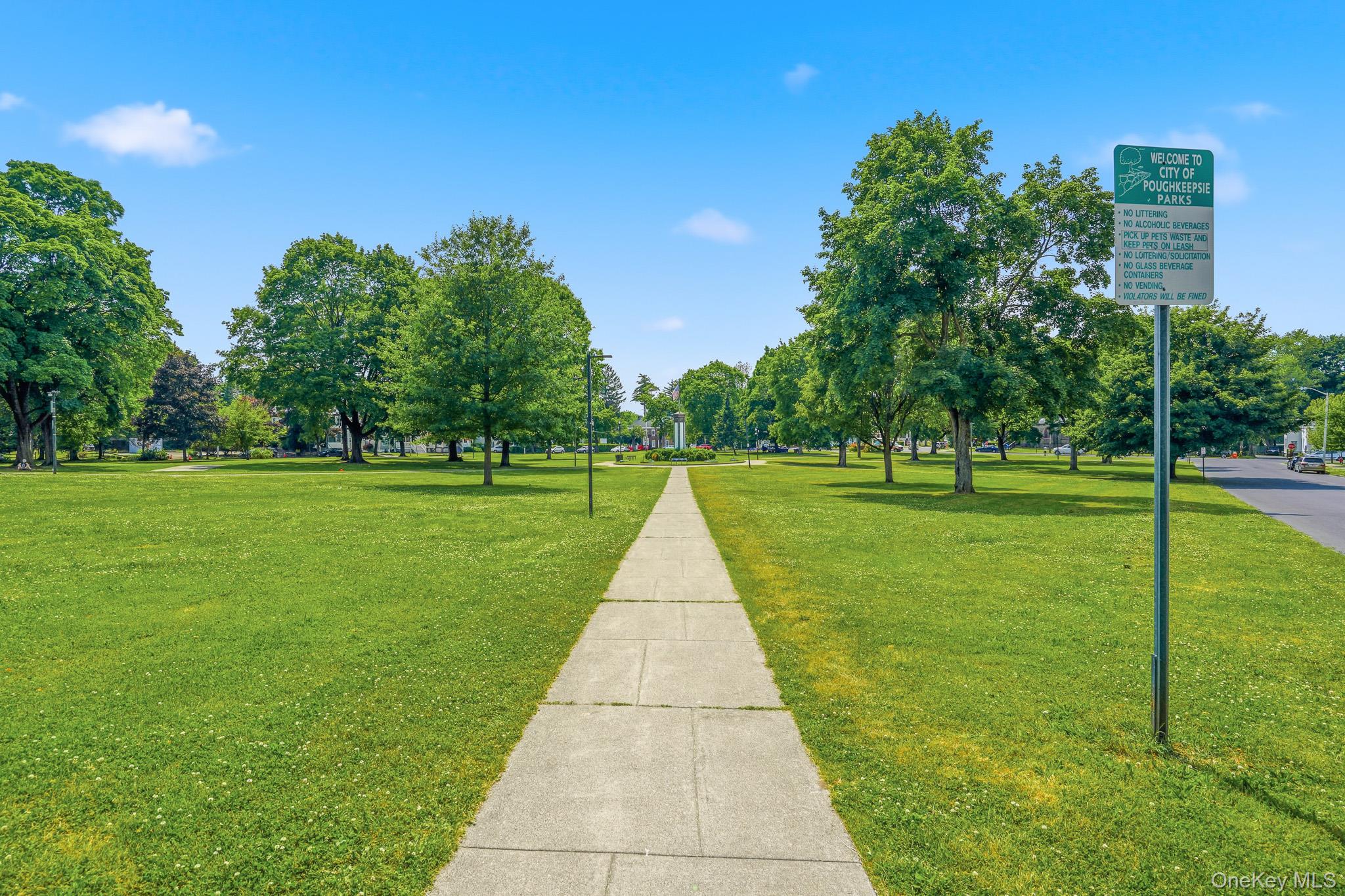65 North Clinton Street Poughkeepsie, NY 12601 - Photo 41 of 43 a view of a park with large trees