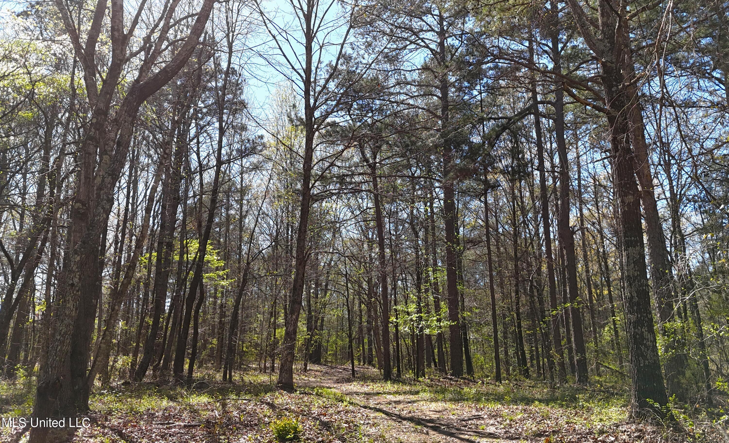 429 Allen Corner Road Lamar, MS 38642 - Photo 21 of 33 DJI_20240404145447_0250_D