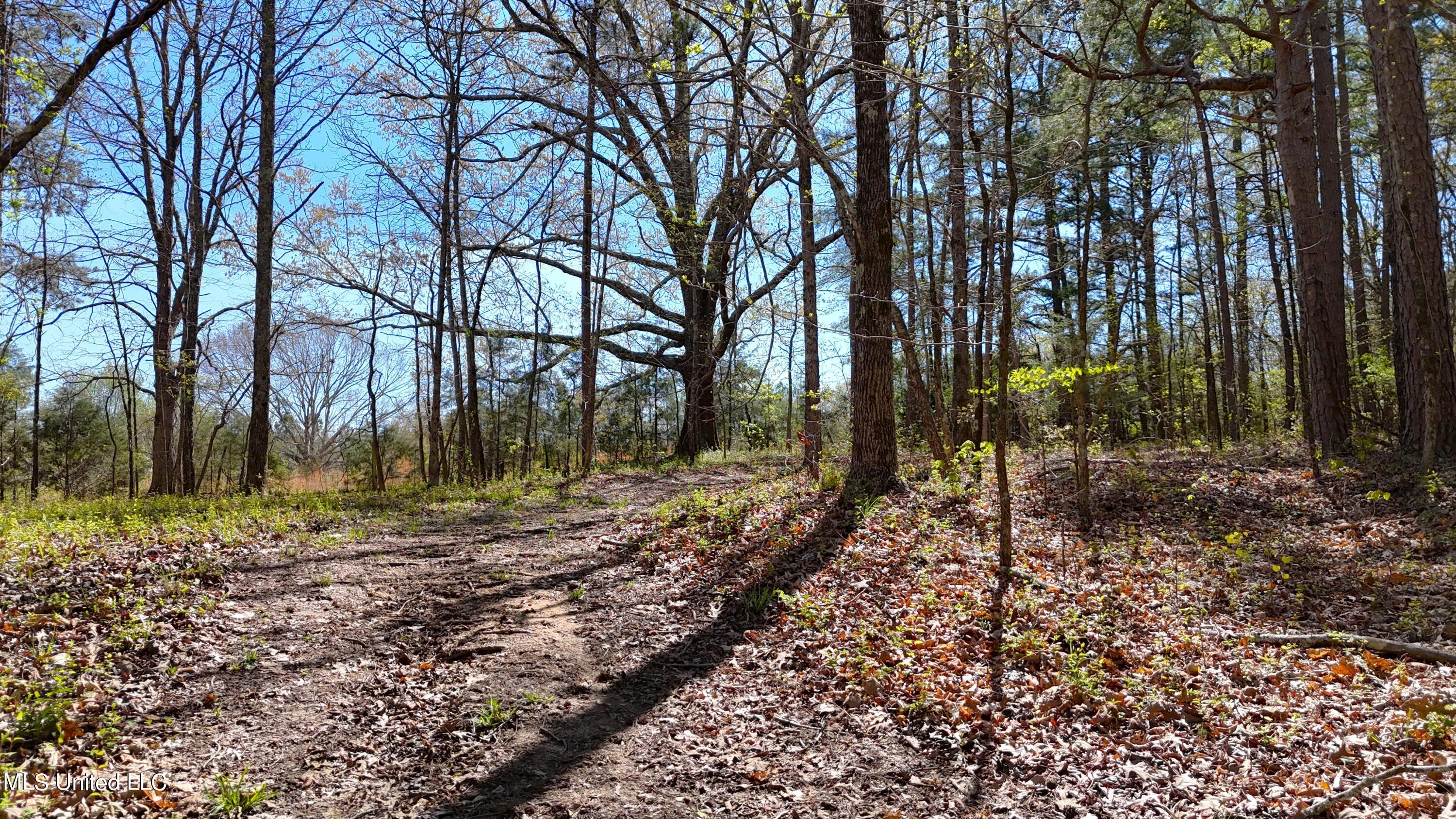 429 Allen Corner Road Lamar, MS 38642 - Photo 22 of 33 DJI_20240404145653_0257_D