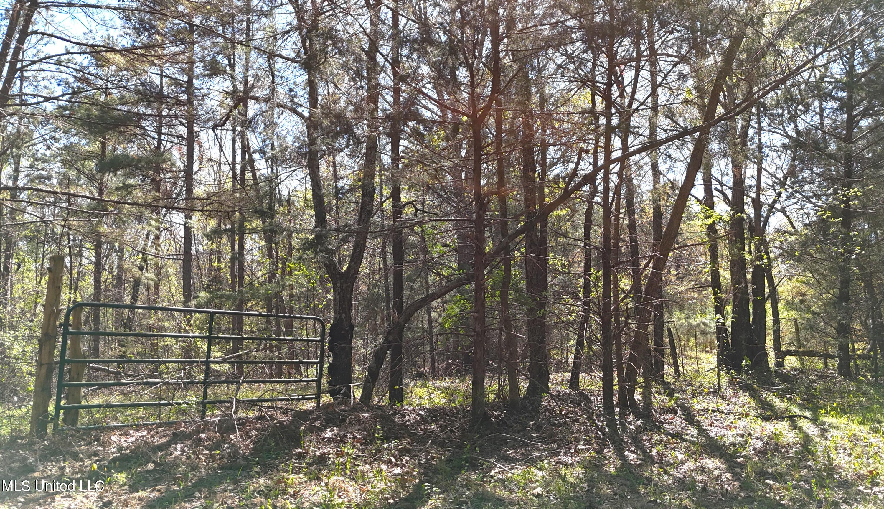 429 Allen Corner Road Lamar, MS 38642 - Photo 24 of 33 DJI_20240404150055_0270_D