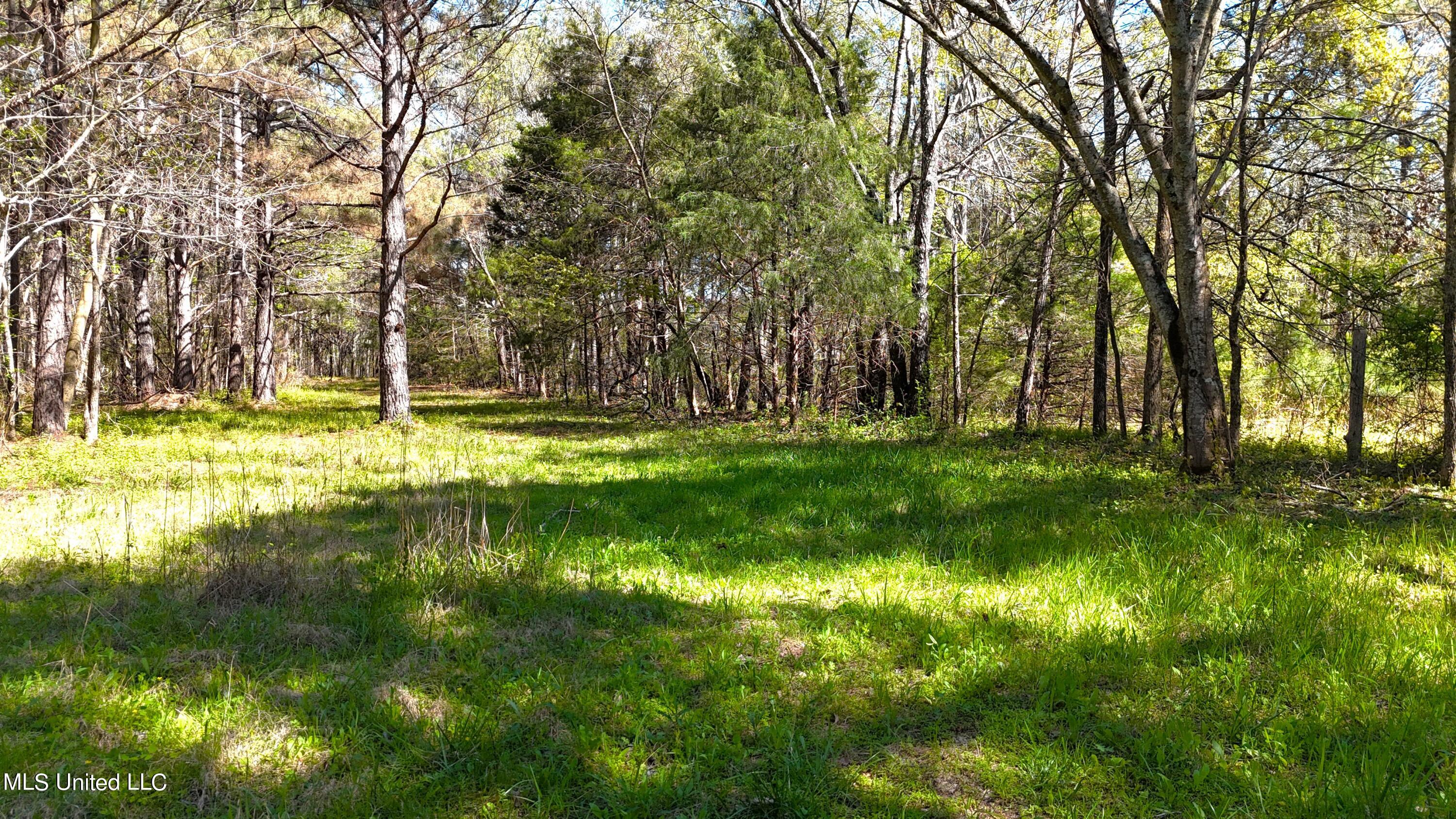 429 Allen Corner Road Lamar, MS 38642 - Photo 25 of 33 DJI_20240404150250_0281_D