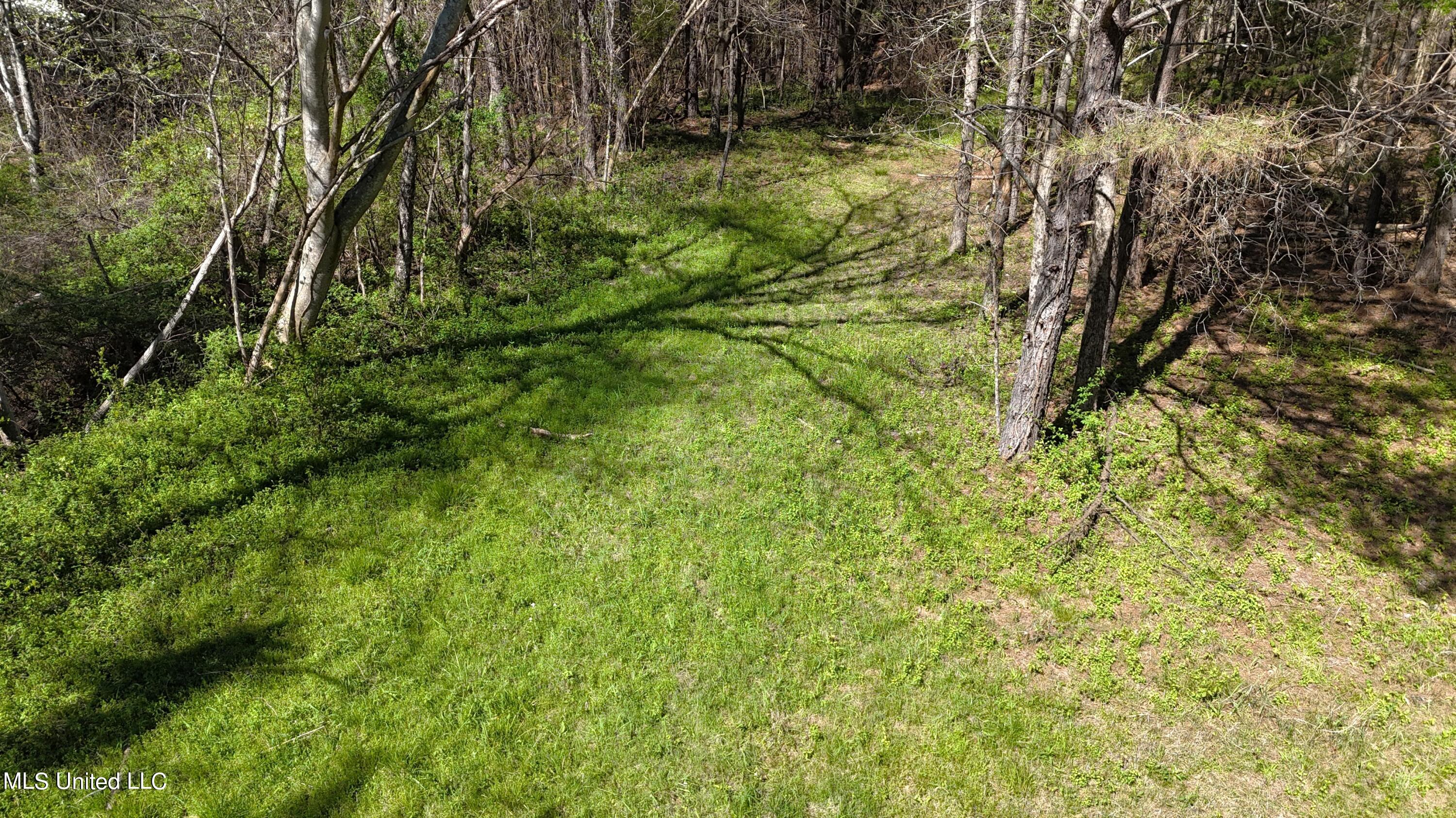 429 Allen Corner Road Lamar, MS 38642 - Photo 26 of 33 DJI_20240404150307_0283_D