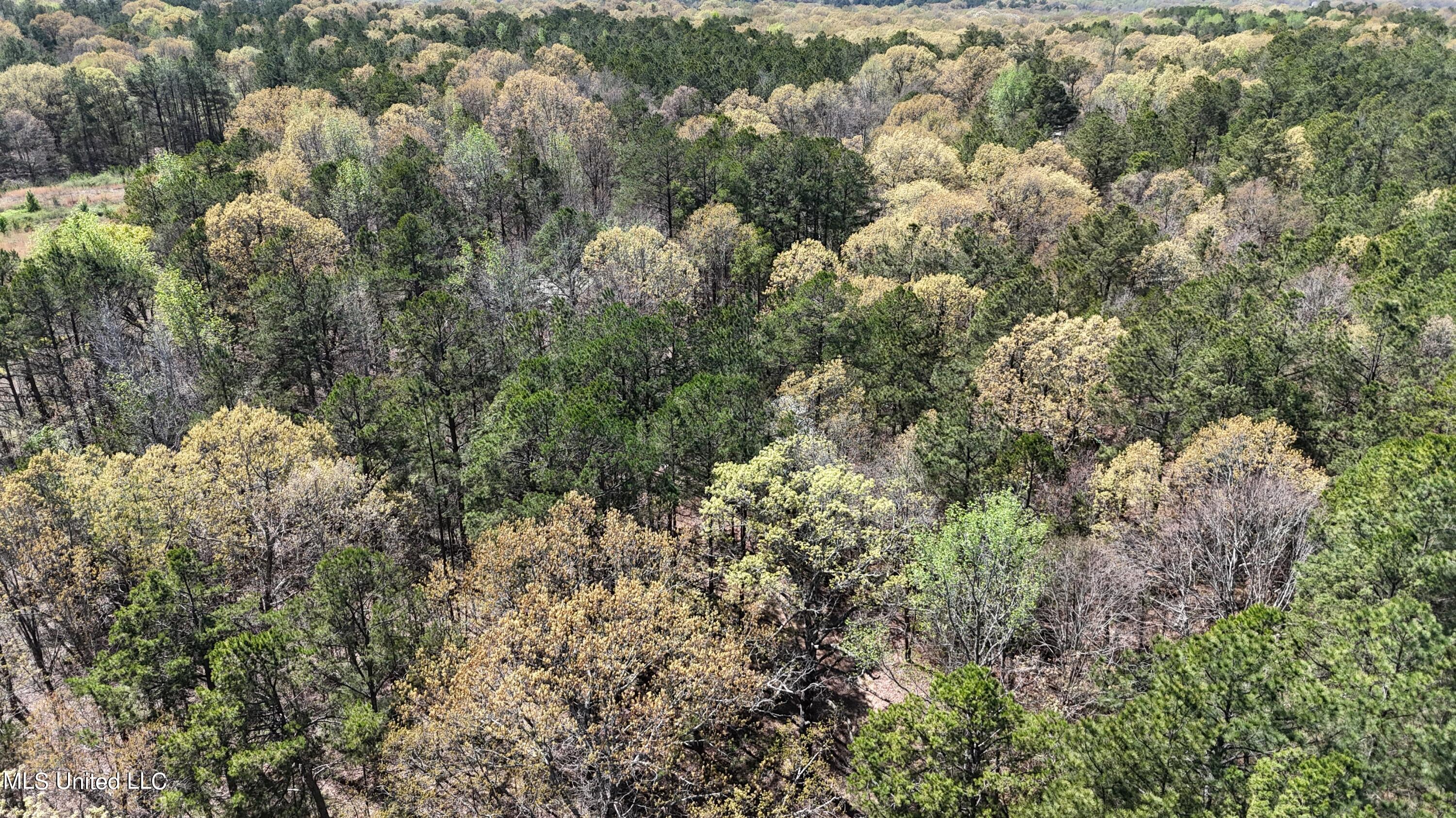 429 Allen Corner Road Lamar, MS 38642 - Photo 27 of 33 DJI_20240404143138_0214_D