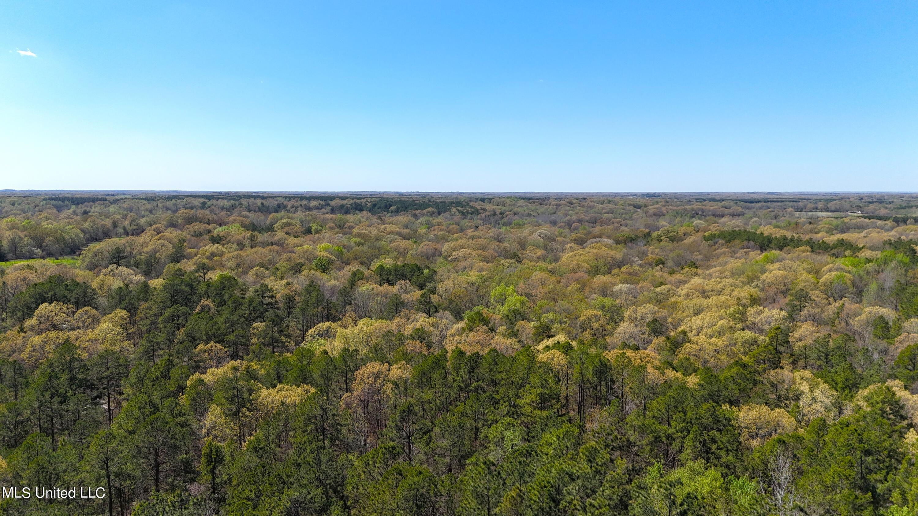 429 Allen Corner Road Lamar, MS 38642 - Photo 28 of 33 DJI_20240404150524_0295_D