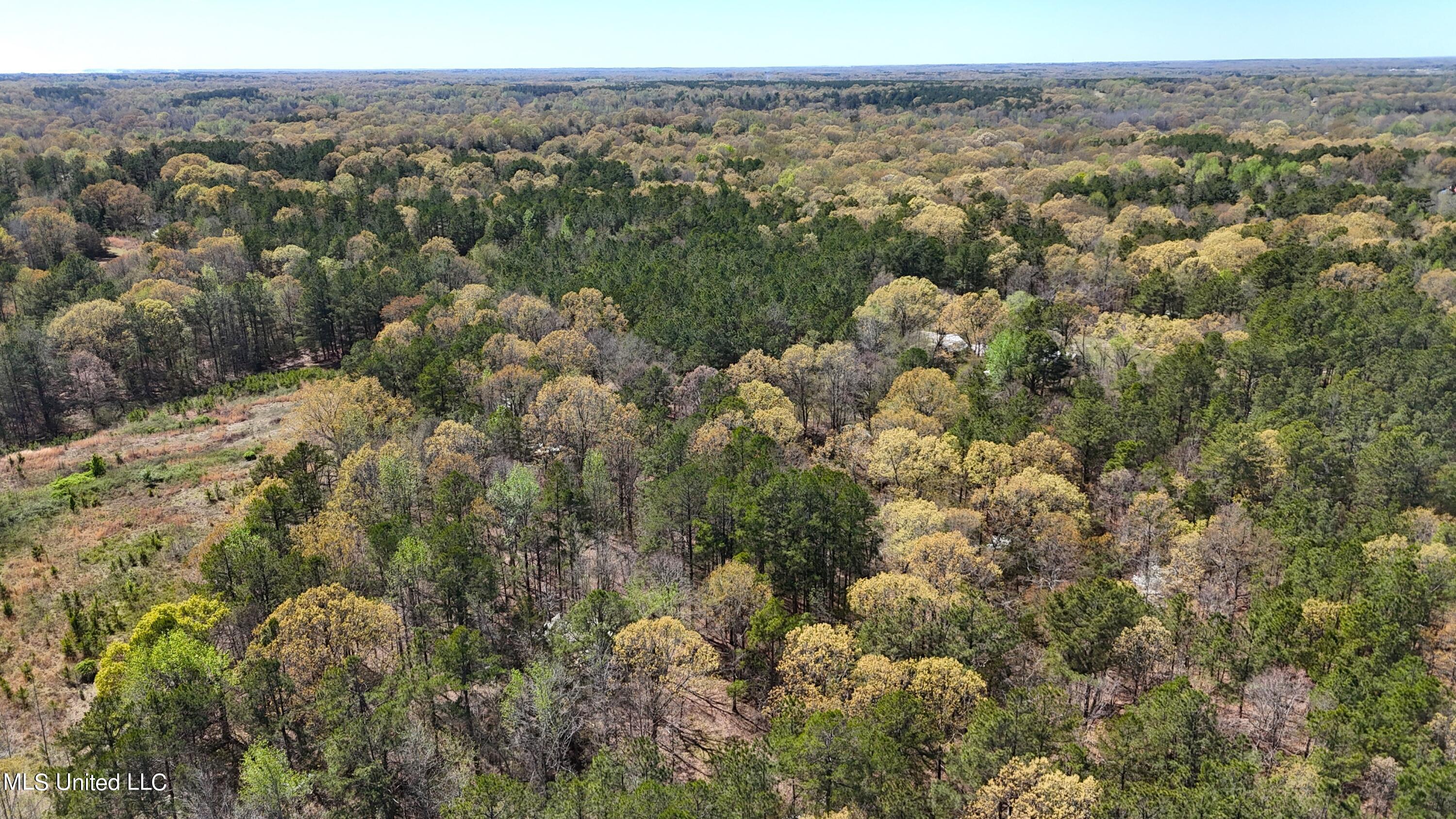 429 Allen Corner Road Lamar, MS 38642 - Photo 29 of 33 DJI_20240404143239_0216_D