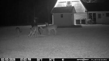 114 Hollow Hill Road Bush, LA 70431 - Photo 46 of 47