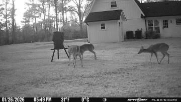 114 Hollow Hill Road Bush, LA 70431 - Photo 47 of 47