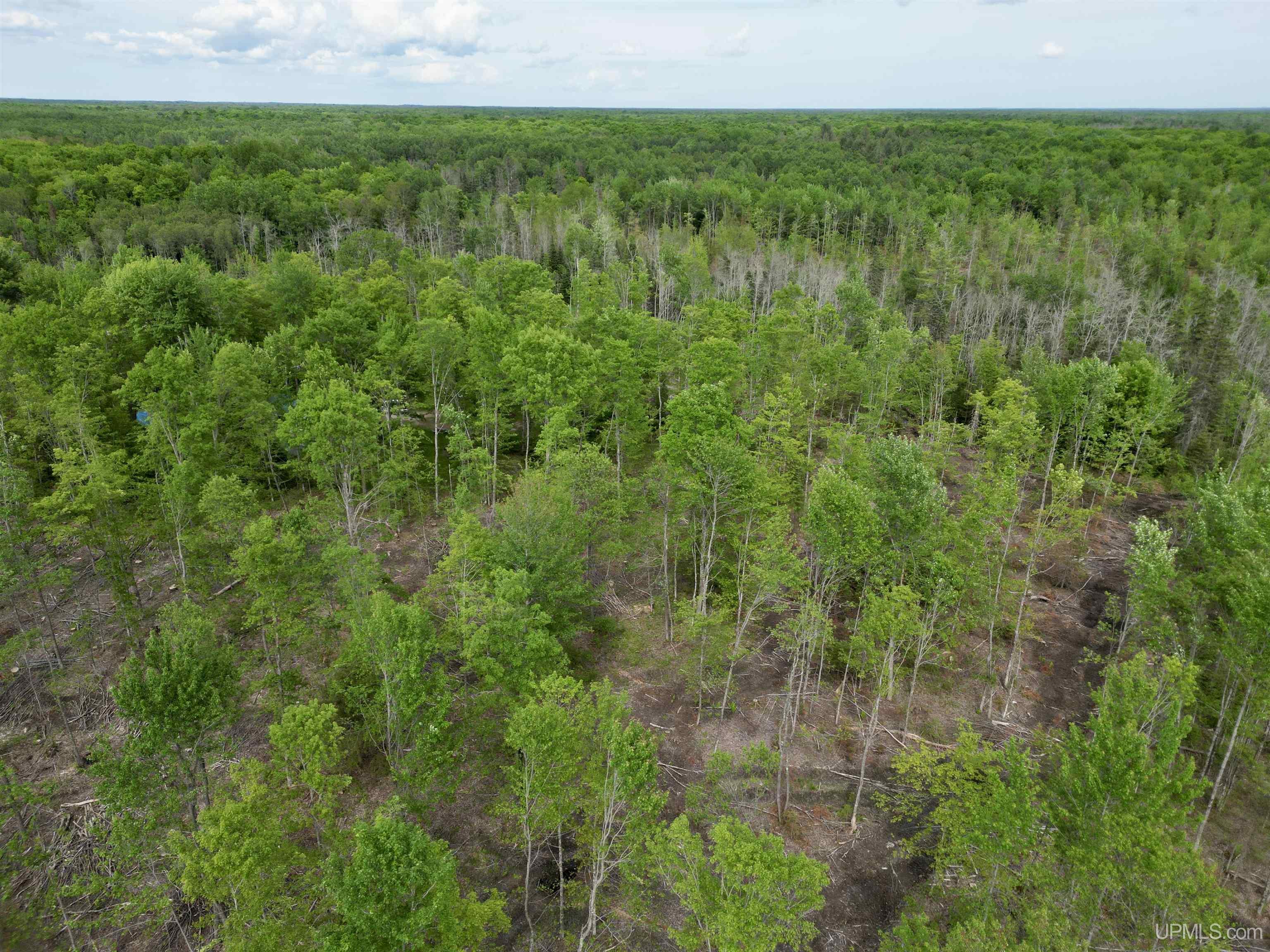 3601 Cr444 Road Rock, MI 49880 - Photo 64 of 78
