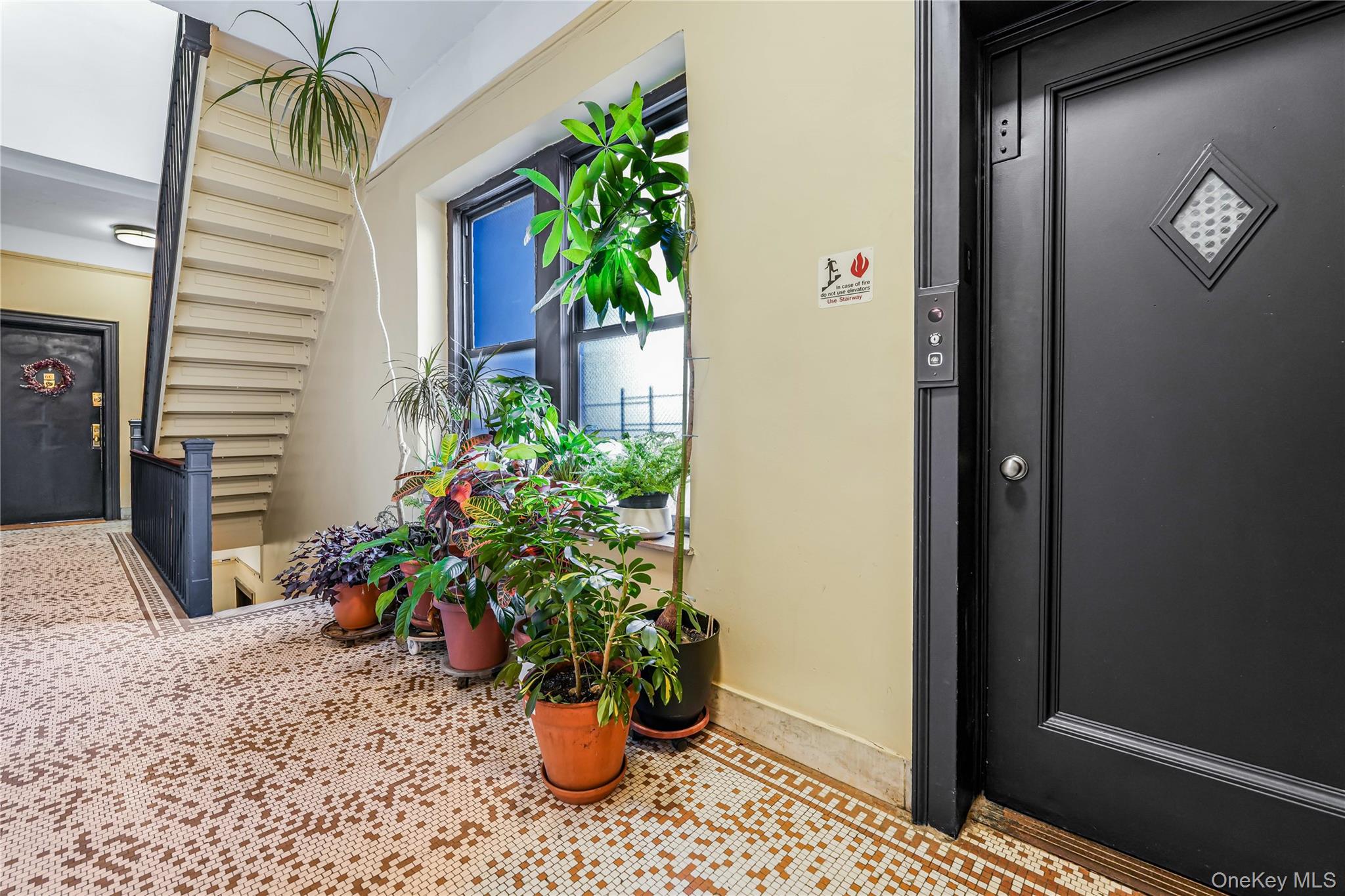880 West 181st Street, Unit 6G Manhattan, NY 10033 - Photo 10 of 13 a potted plant sitting in front of a door