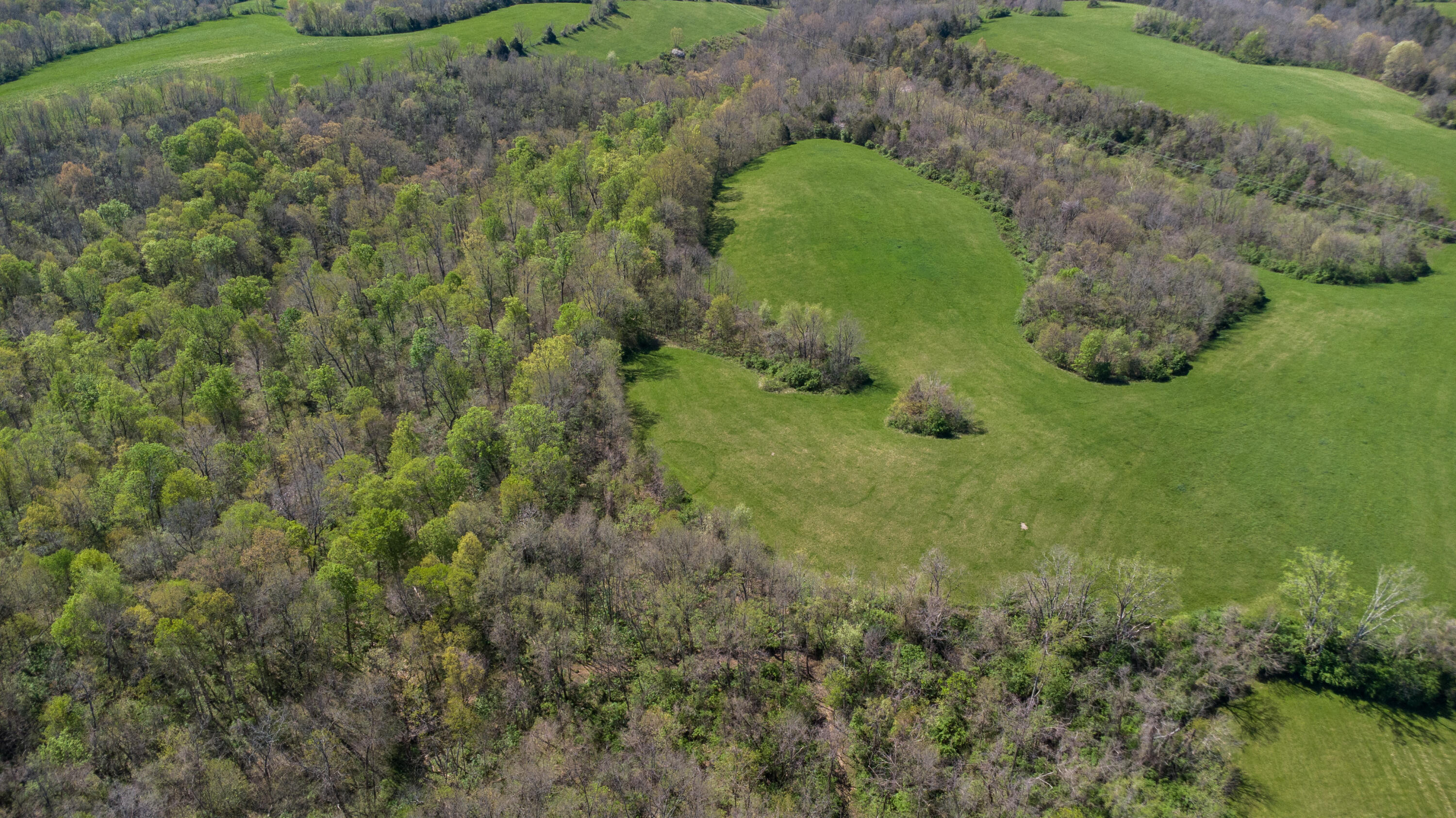0 Baton Rouge 5.1 Acres Road Williamstown, KY 41097 - Photo 11 of 24 Gallery Image 11