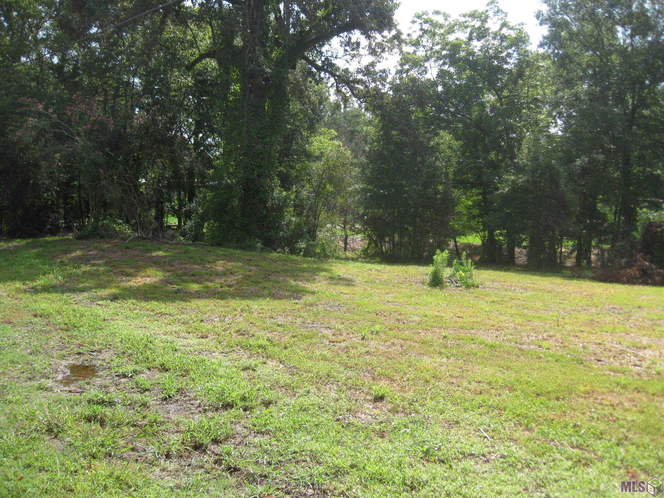 18766 Ducros Road Prairieville, LA 70769 - Photo 1 of 5