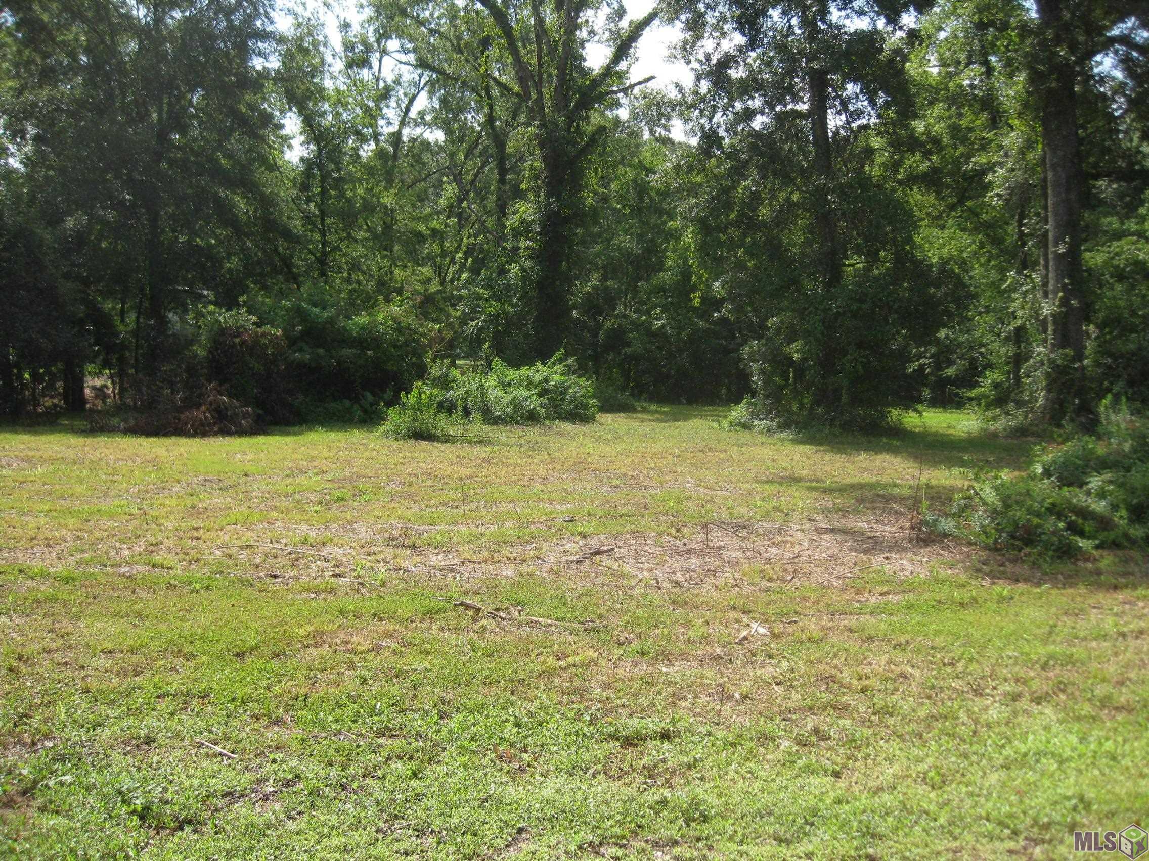 18766 Ducros Road Prairieville, LA 70769 - Photo 2 of 5