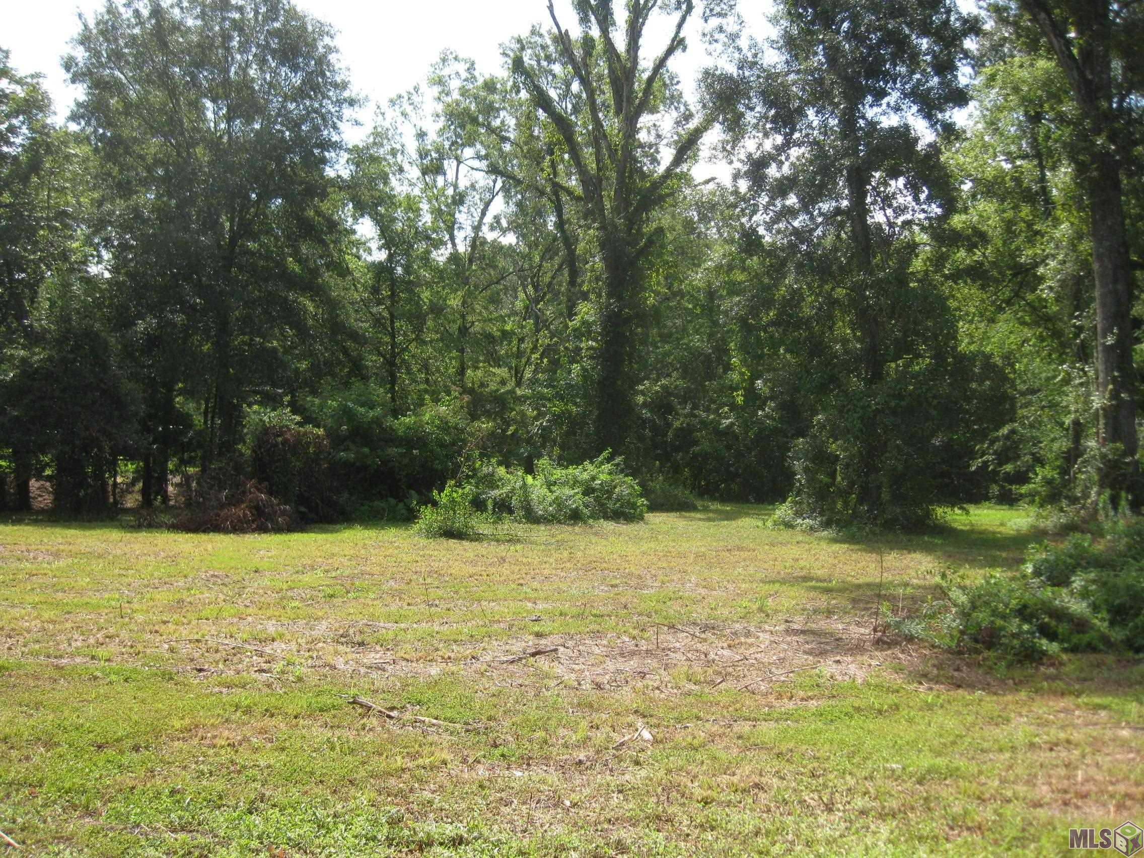 18766 Ducros Road Prairieville, LA 70769 - Photo 3 of 5