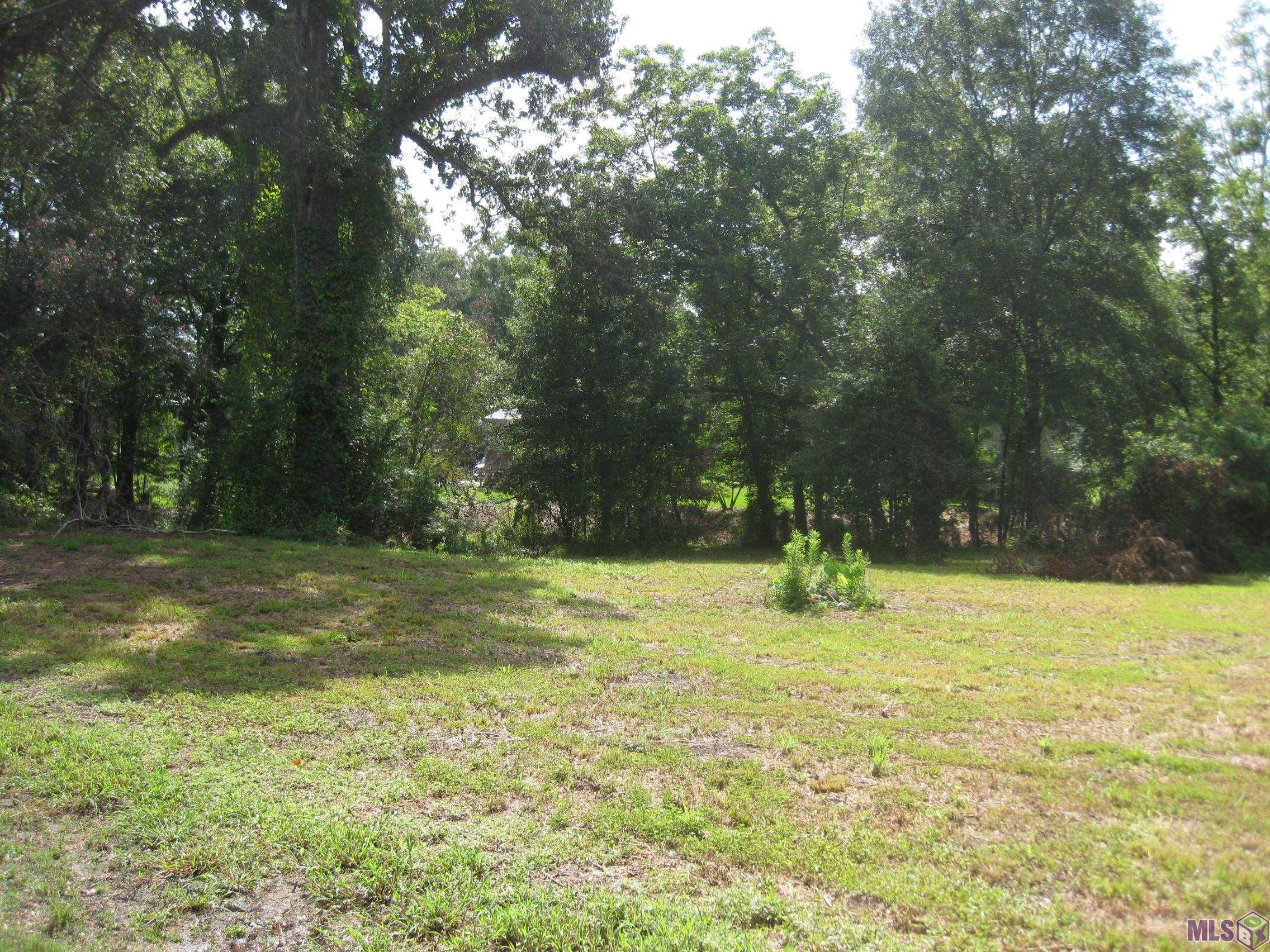 18766 Ducros Road Prairieville, LA 70769 - Photo 4 of 5