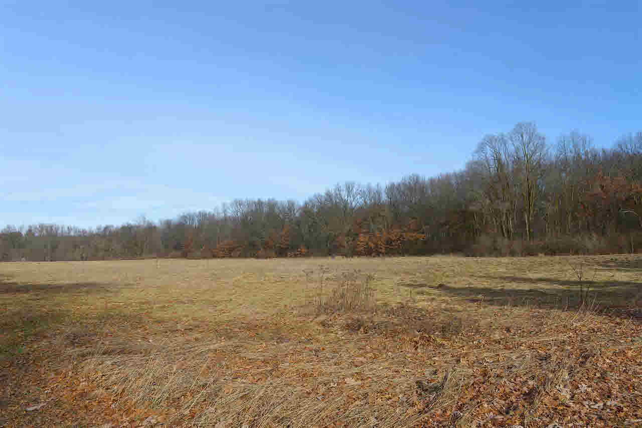 Munith Road, Unit VL Jackson, MI 49201 - Photo 2 of 7