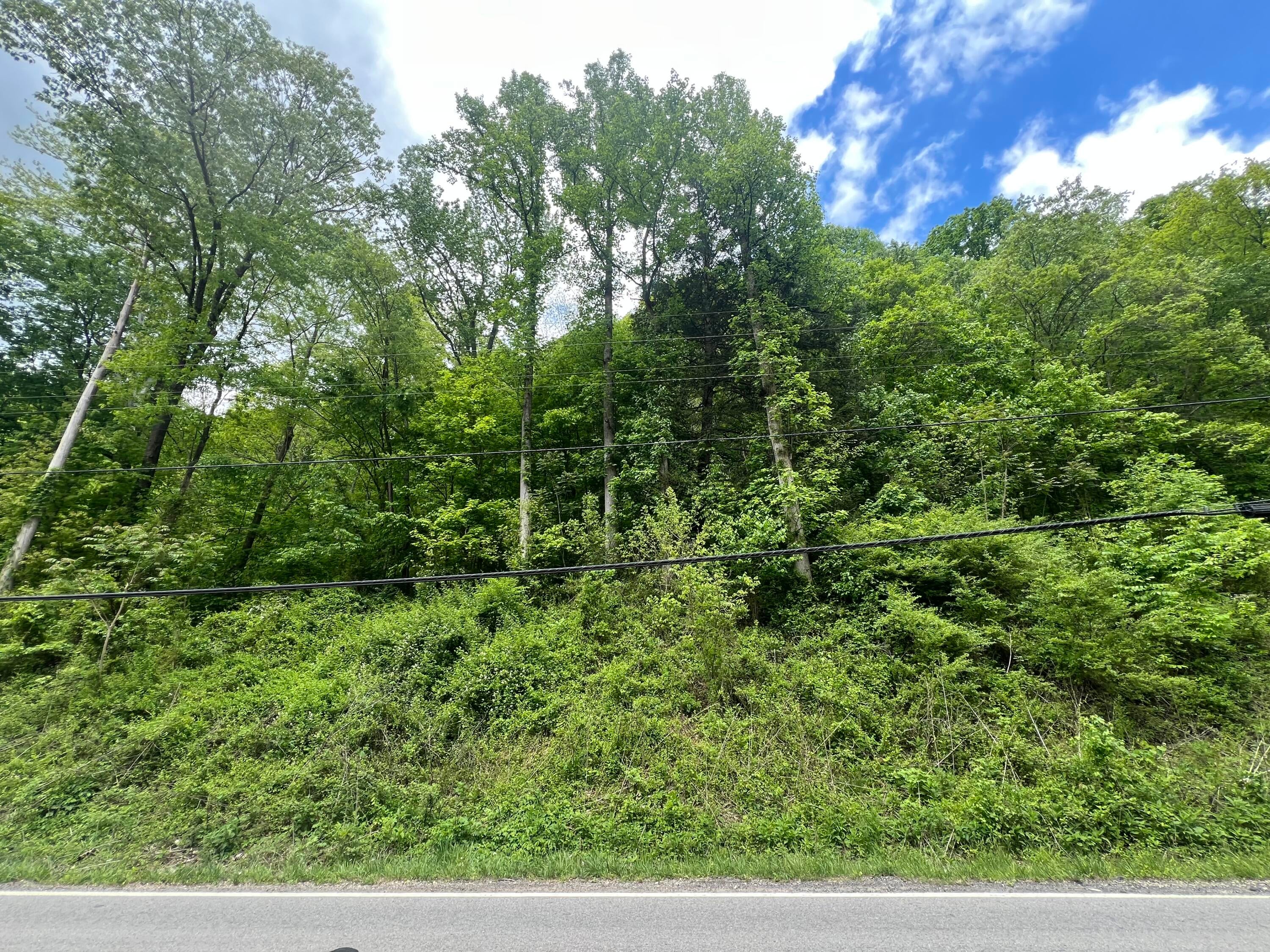 Gauley River Road Belva, WV 26656 - Photo 6 of 12 Gallery Image 6