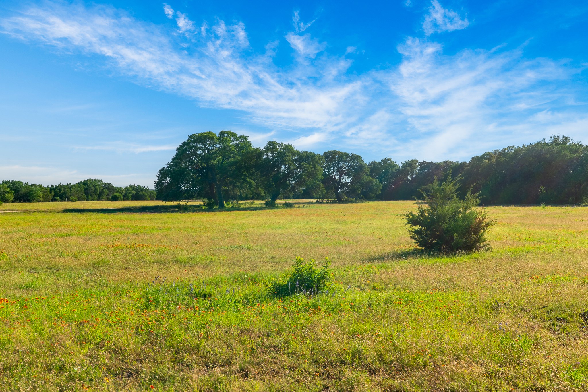 2 Feild Ranch Road Lampasas, TX 76550 - Photo 23 of 40 A sprawling green pasture under a blue sky offers tranquil rural views.