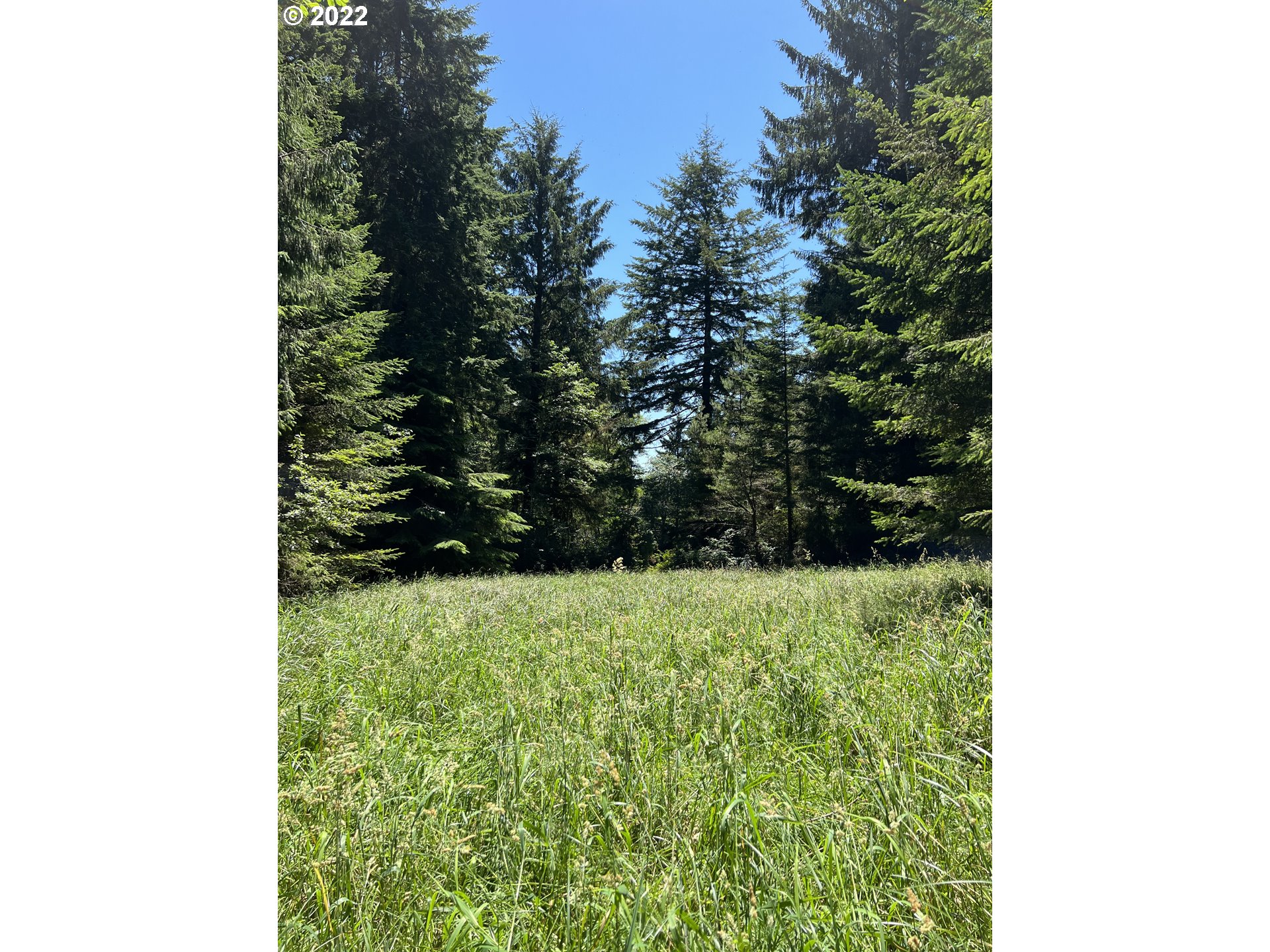 Boy Scout Road, Unit 2709 Florence, OR 97439 - Photo 1 of 5 a view of a garden