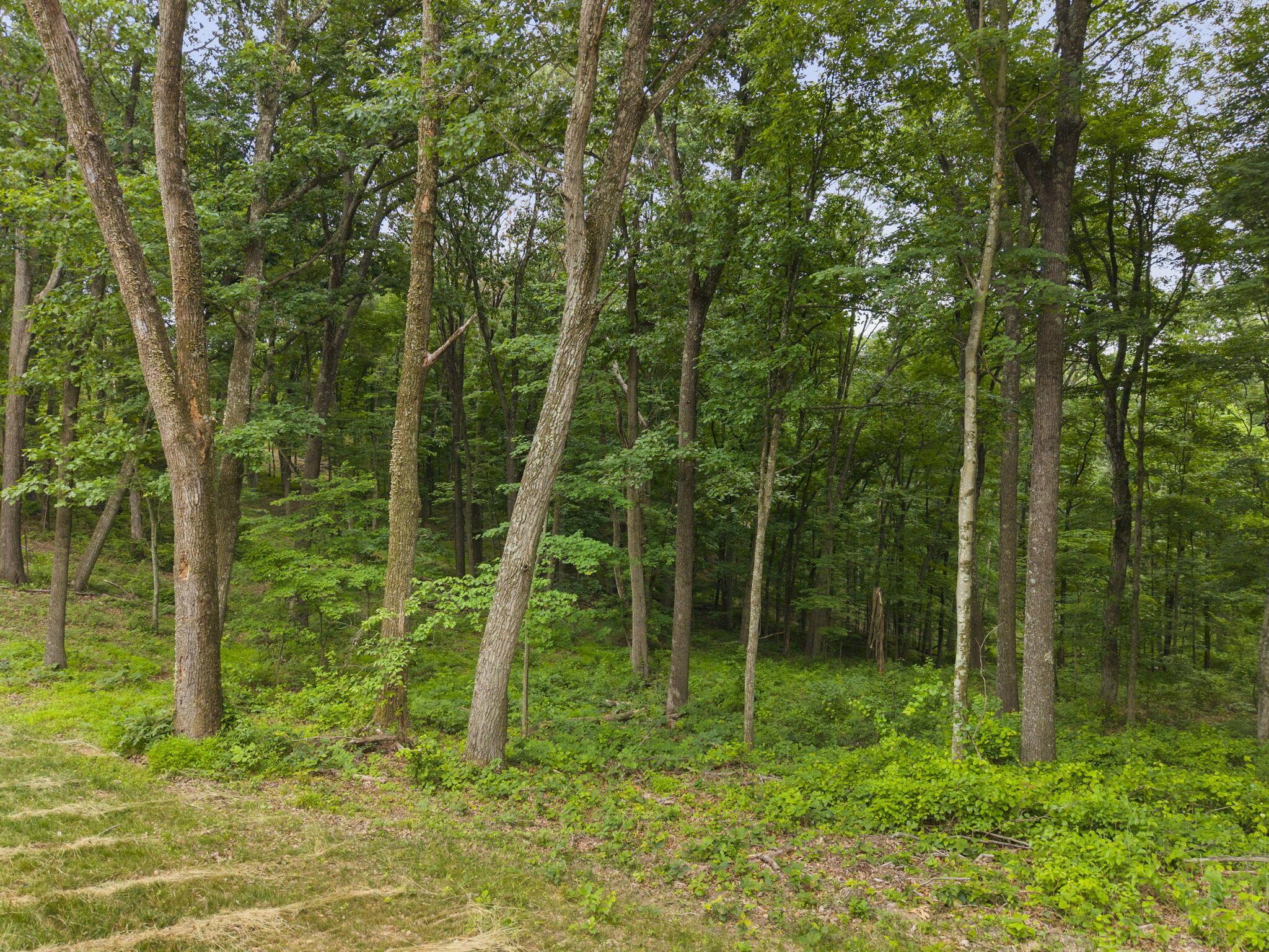 18573 Huggins Road Logan, OH 43138 - Photo 40 of 81