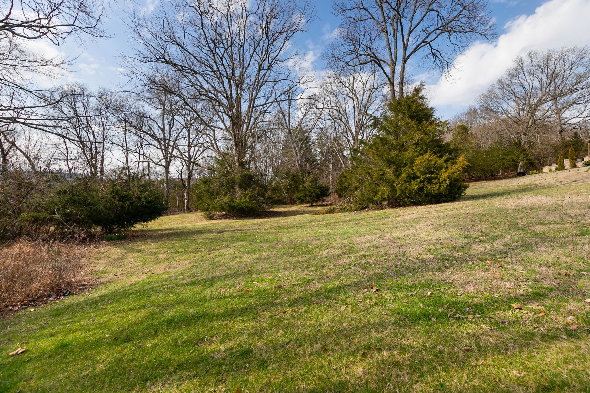 6729 Falls Ridge Lane College Grove, TN 37046 - Photo 65 of 67
