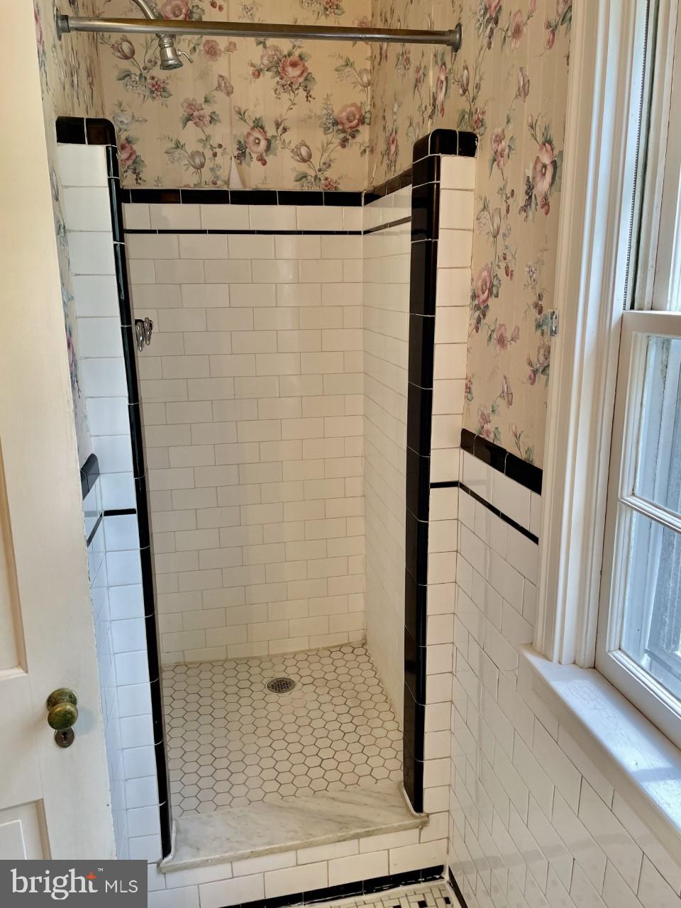 819 Tred Avon Road Baltimore, MD 21212 - Photo 12 of 25 Primary bathroom shower.