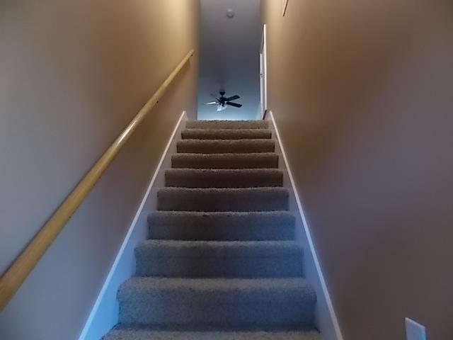 164 Sara Street St. George, SC 29477 - Photo 15 of 16 Stairs-to-Room-over-garage (3'x13')