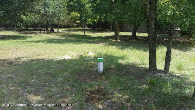 830 A Sooy Place Road Vincentown, NJ 08088 - Photo 6 of 19 20170729_132028