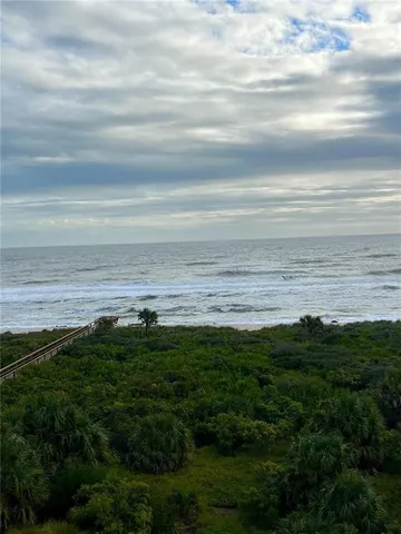 a view of an ocean from a yard