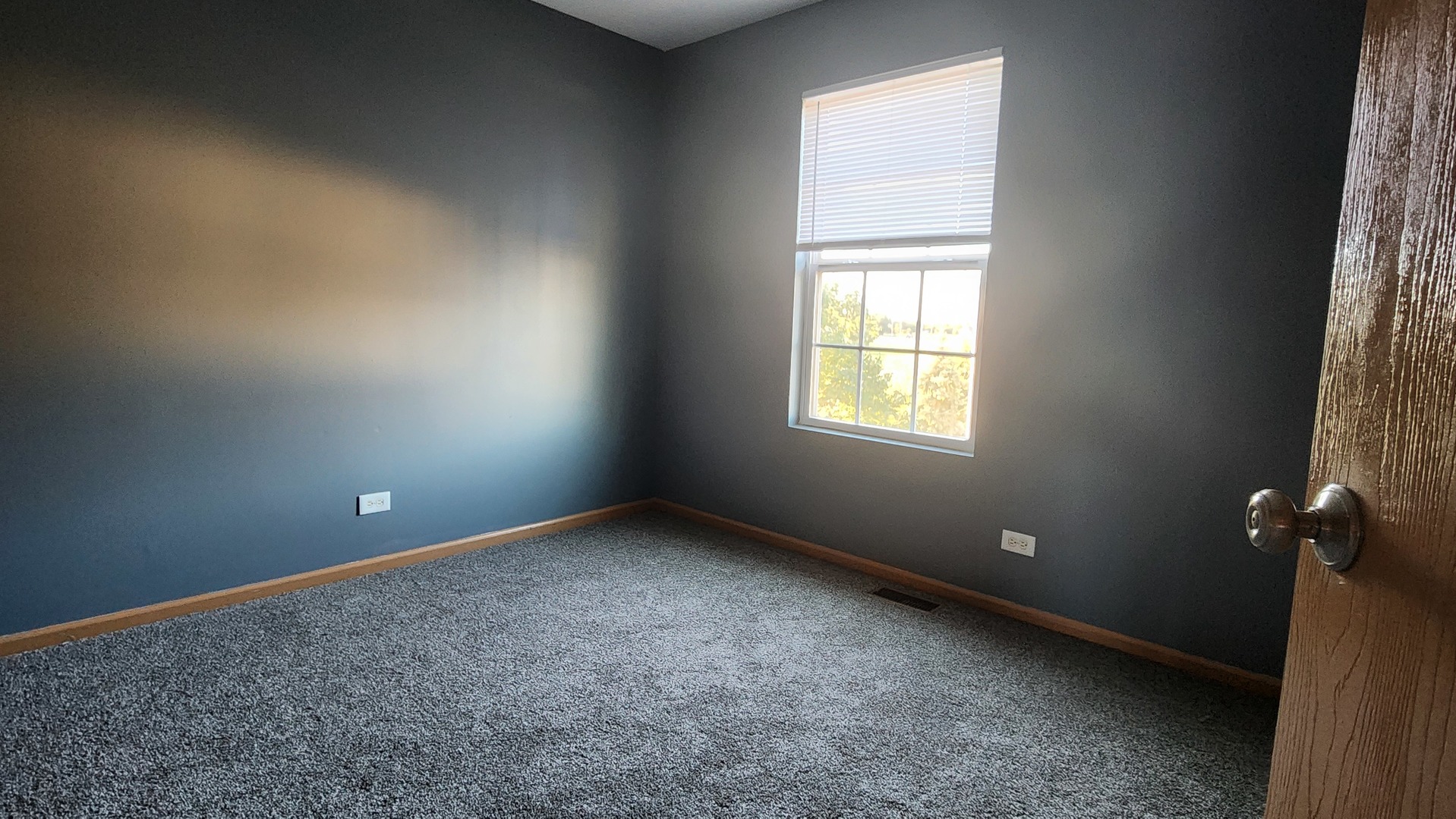 3843 Bailey Road Yorkville, IL 60560 - Photo 7 of 15