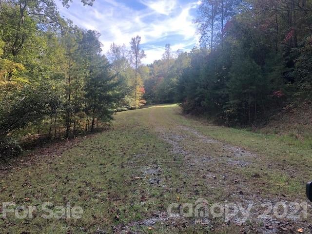 31 Mountain Spring Ln Mill Spring Mill Spring, NC 28756 - Photo 2 of 13 a view of a yard with a tree