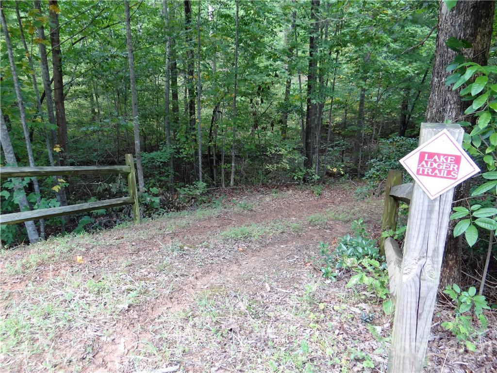 31 Mountain Spring Ln Mill Spring Mill Spring, NC 28756 - Photo 12 of 13 a view of outdoor space and garden