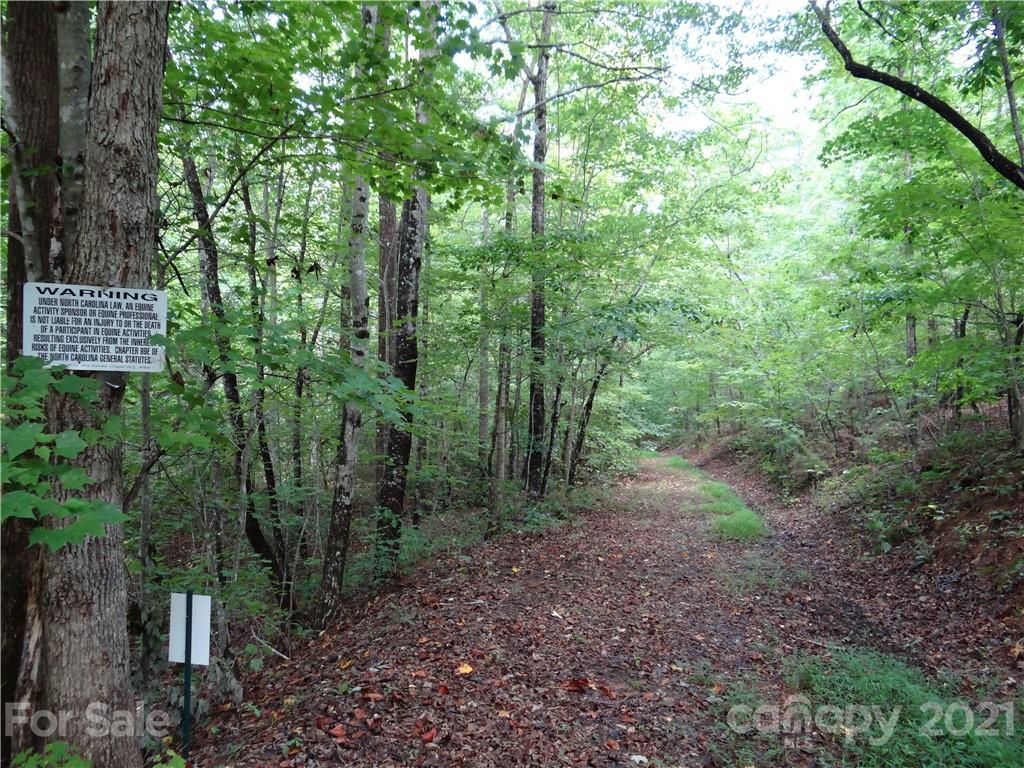 31 Mountain Spring Ln Mill Spring Mill Spring, NC 28756 - Photo 13 of 13 a view of a forest with trees