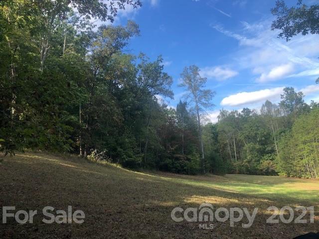 31 Mountain Spring Ln Mill Spring Mill Spring, NC 28756 - Photo 6 of 13 a view of a field