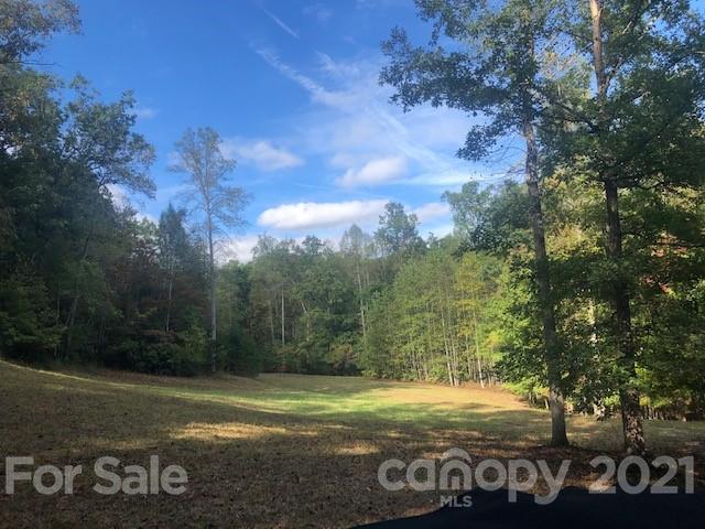 31 Mountain Spring Ln Mill Spring Mill Spring, NC 28756 - Photo 7 of 13 a view of a park with an trees